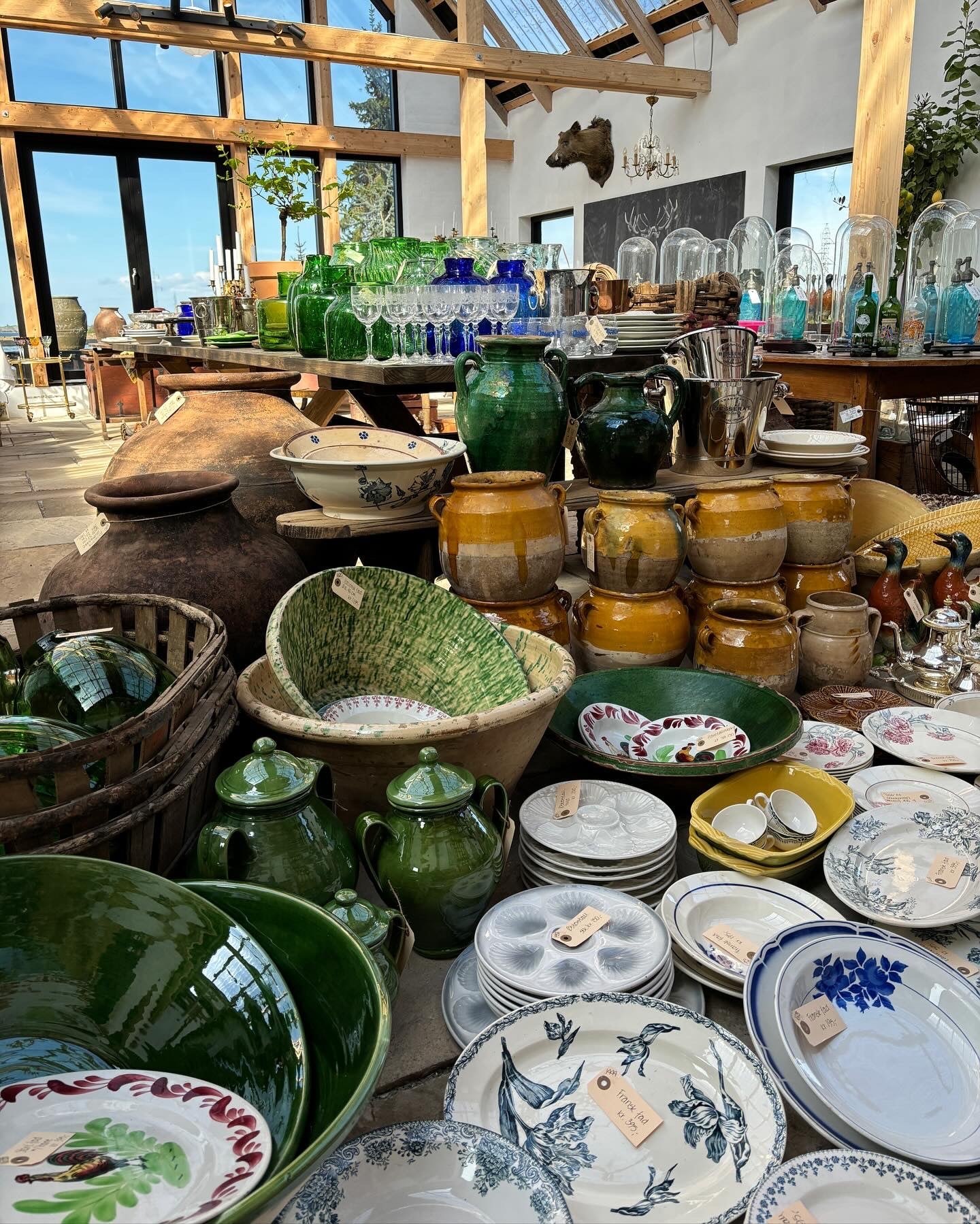 Gården i skoven