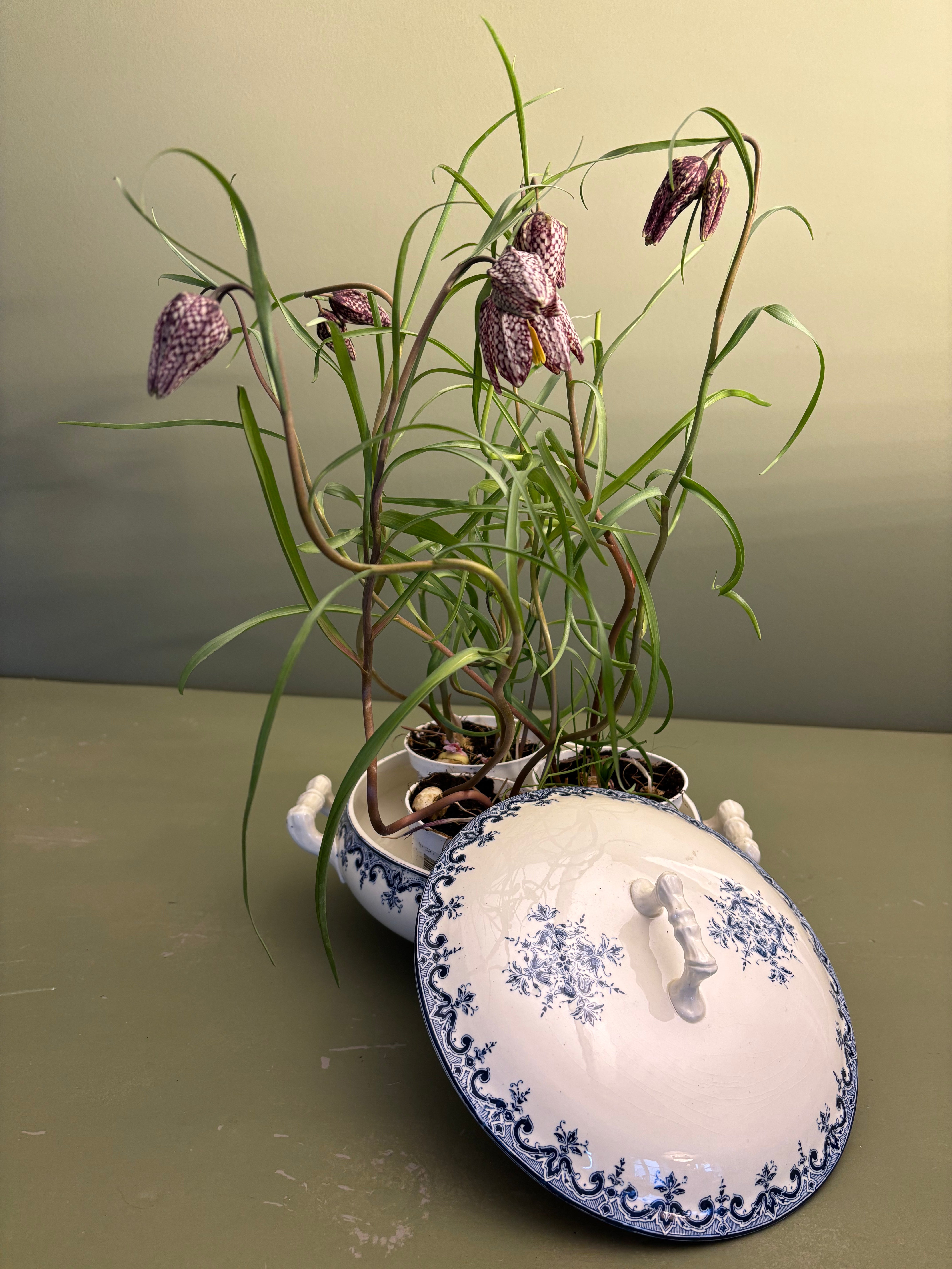 Fransk terrin, Ø20 cm.