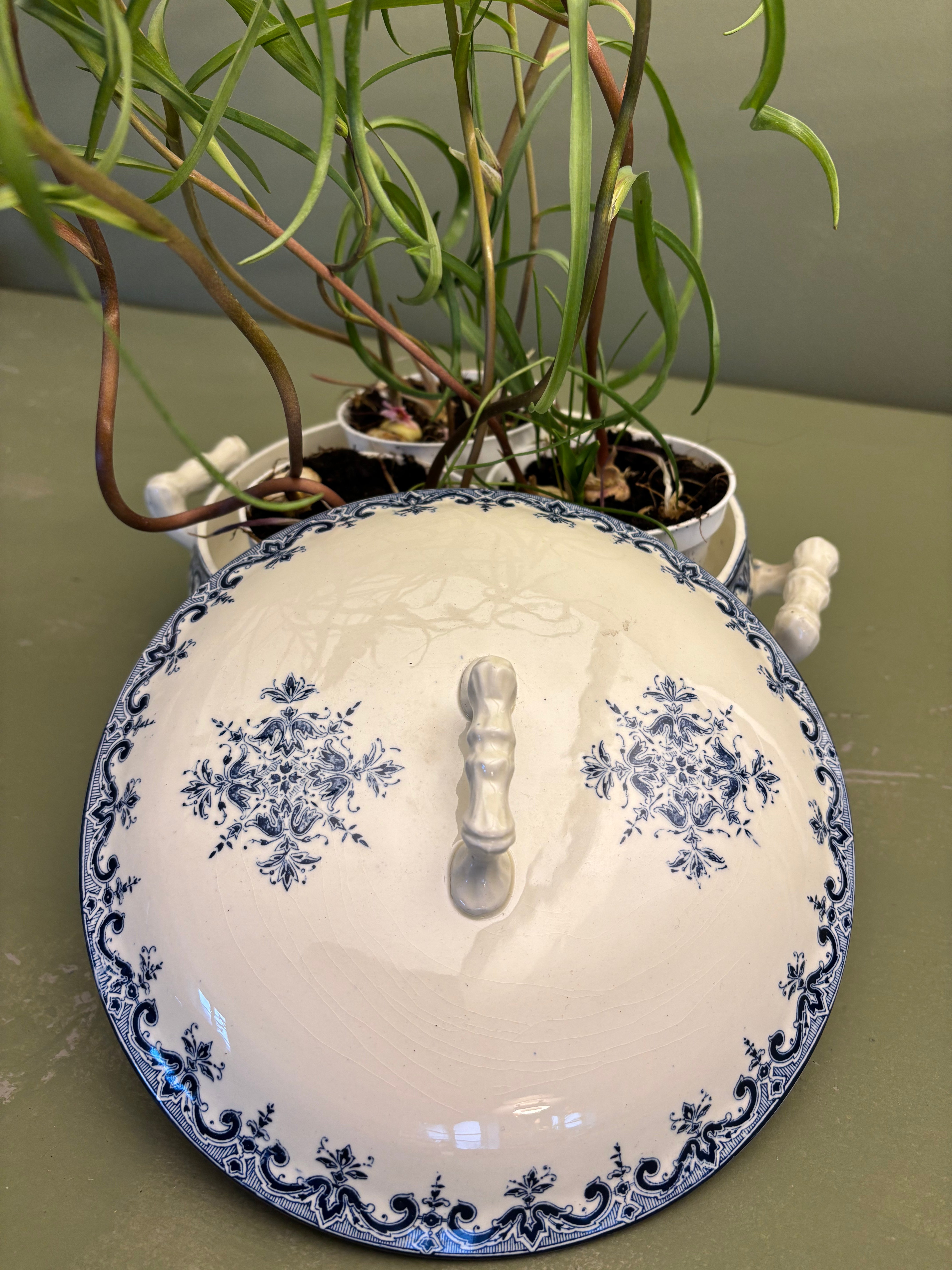 Fransk terrin, Ø20 cm.