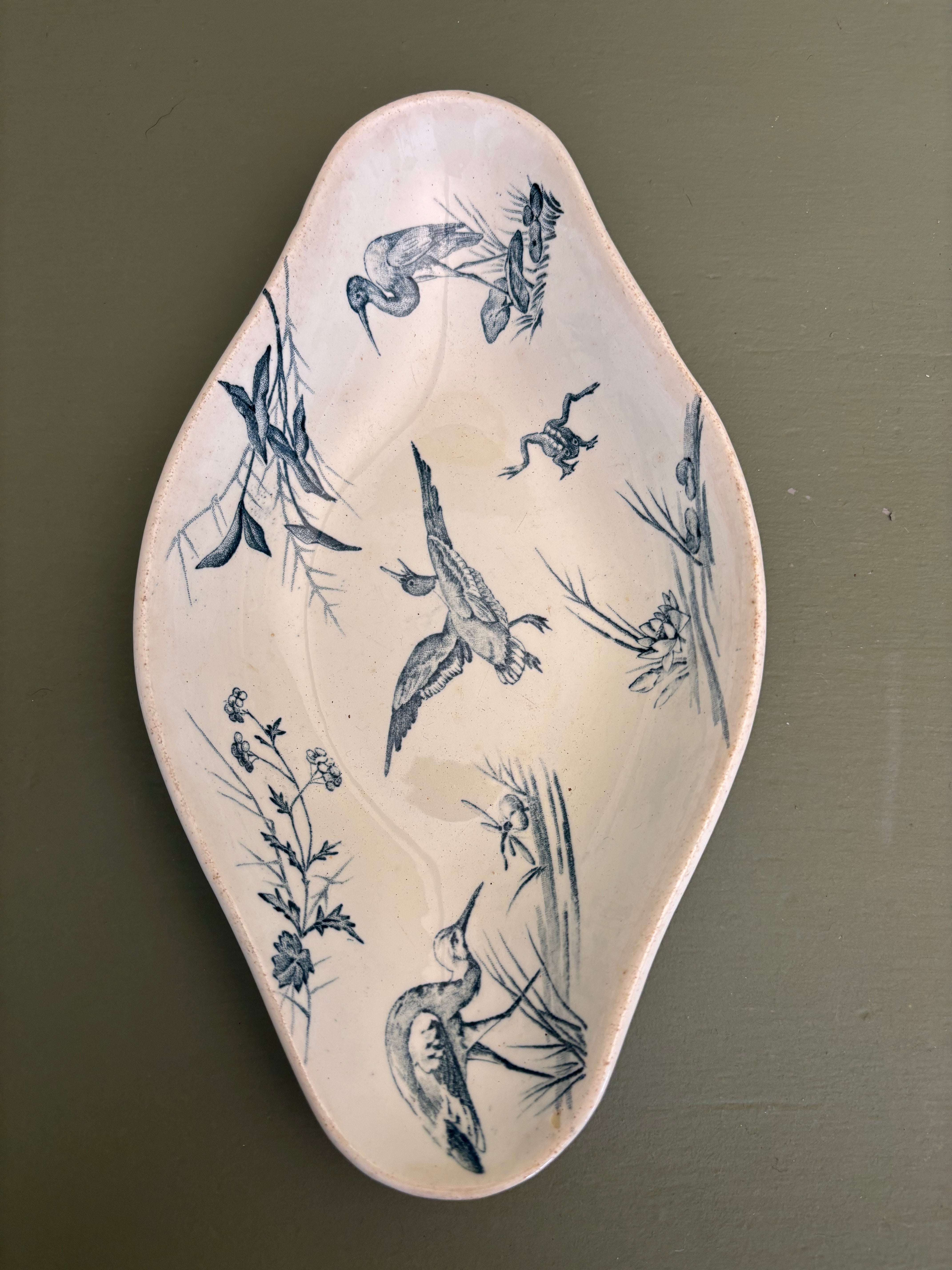 Ravier