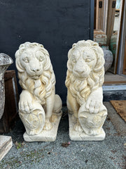 Løver, 55 cm - 2 stk