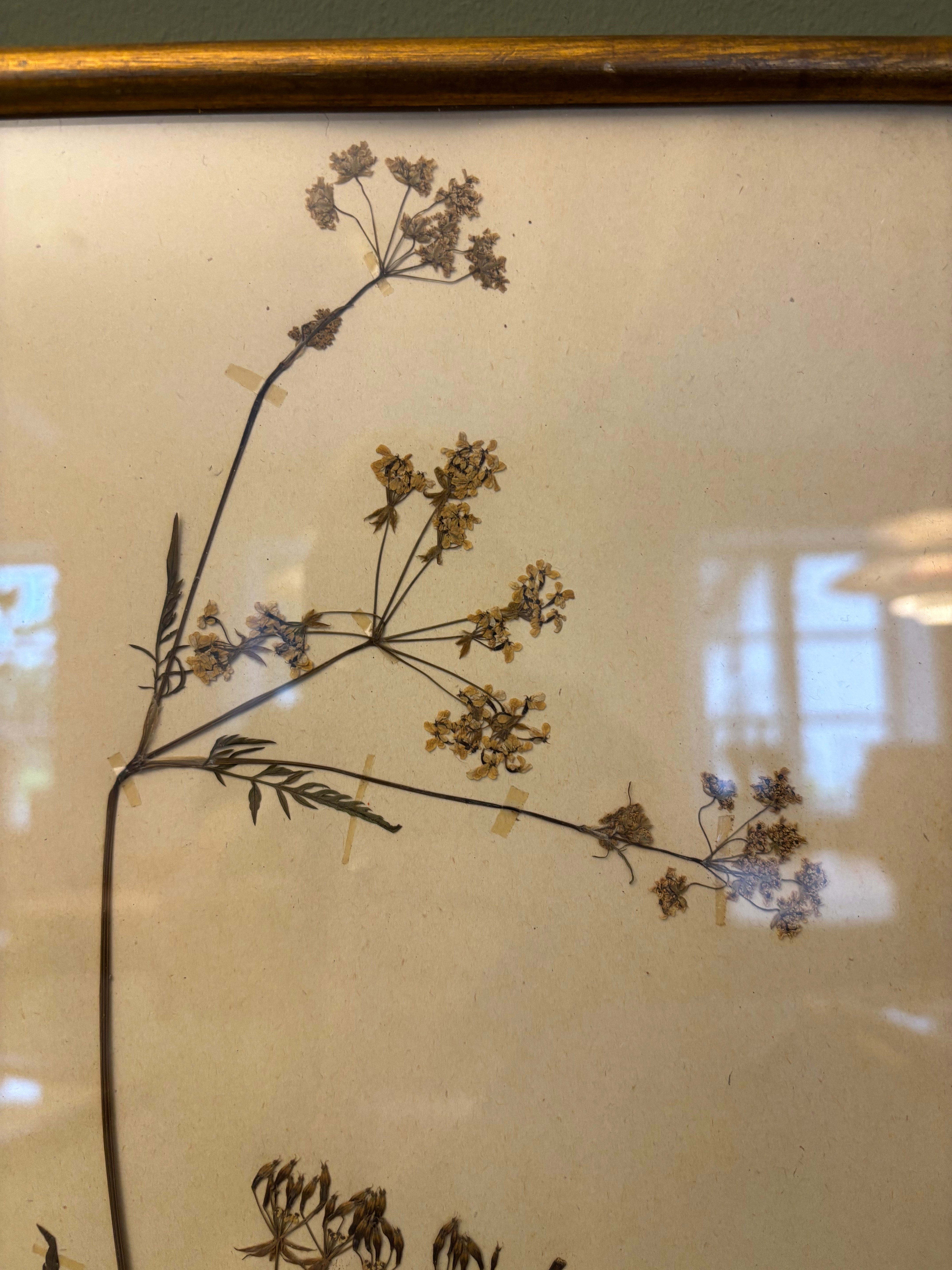 Billede med tørrede blomster