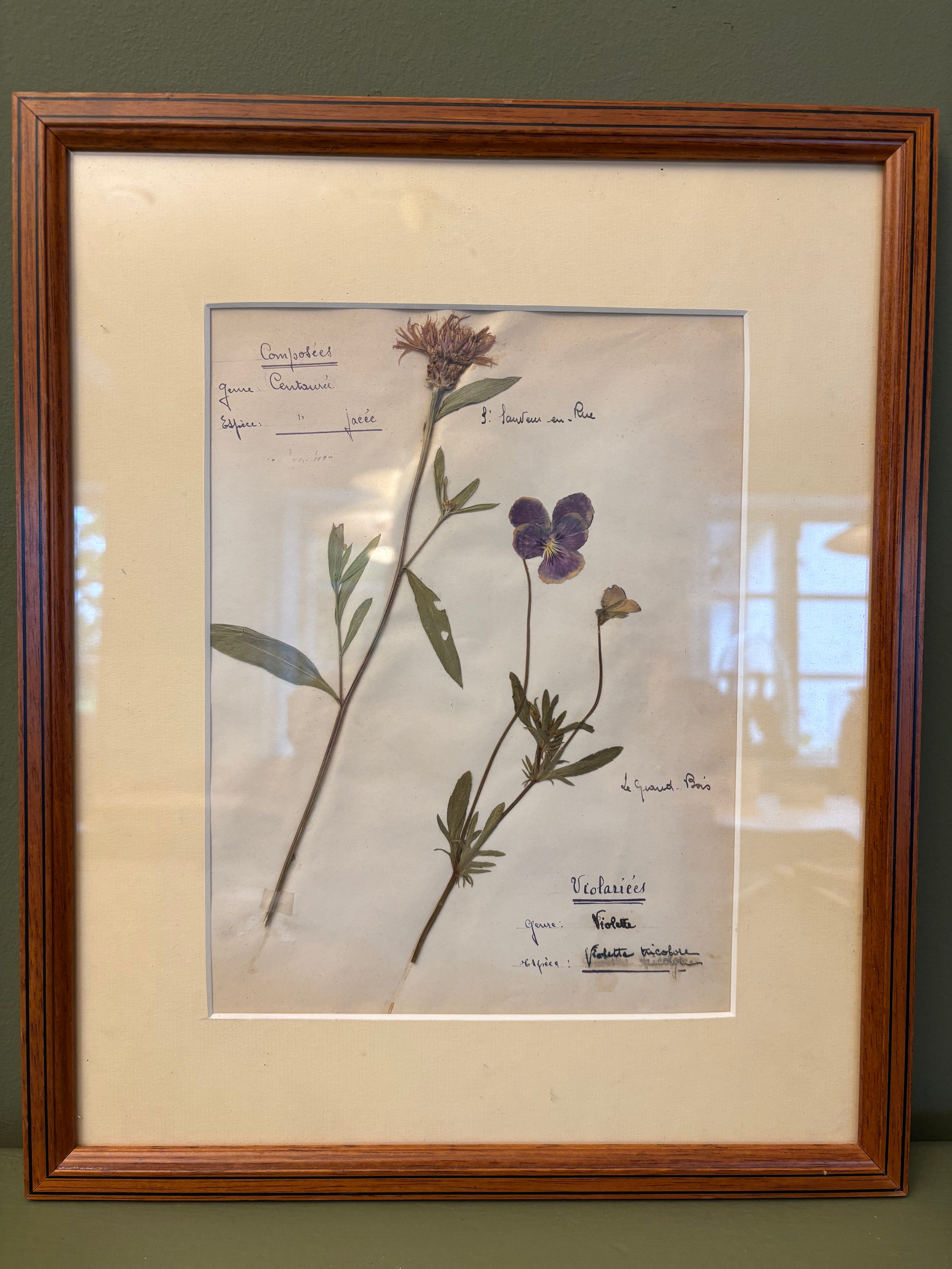 Billede med tørrede blomster