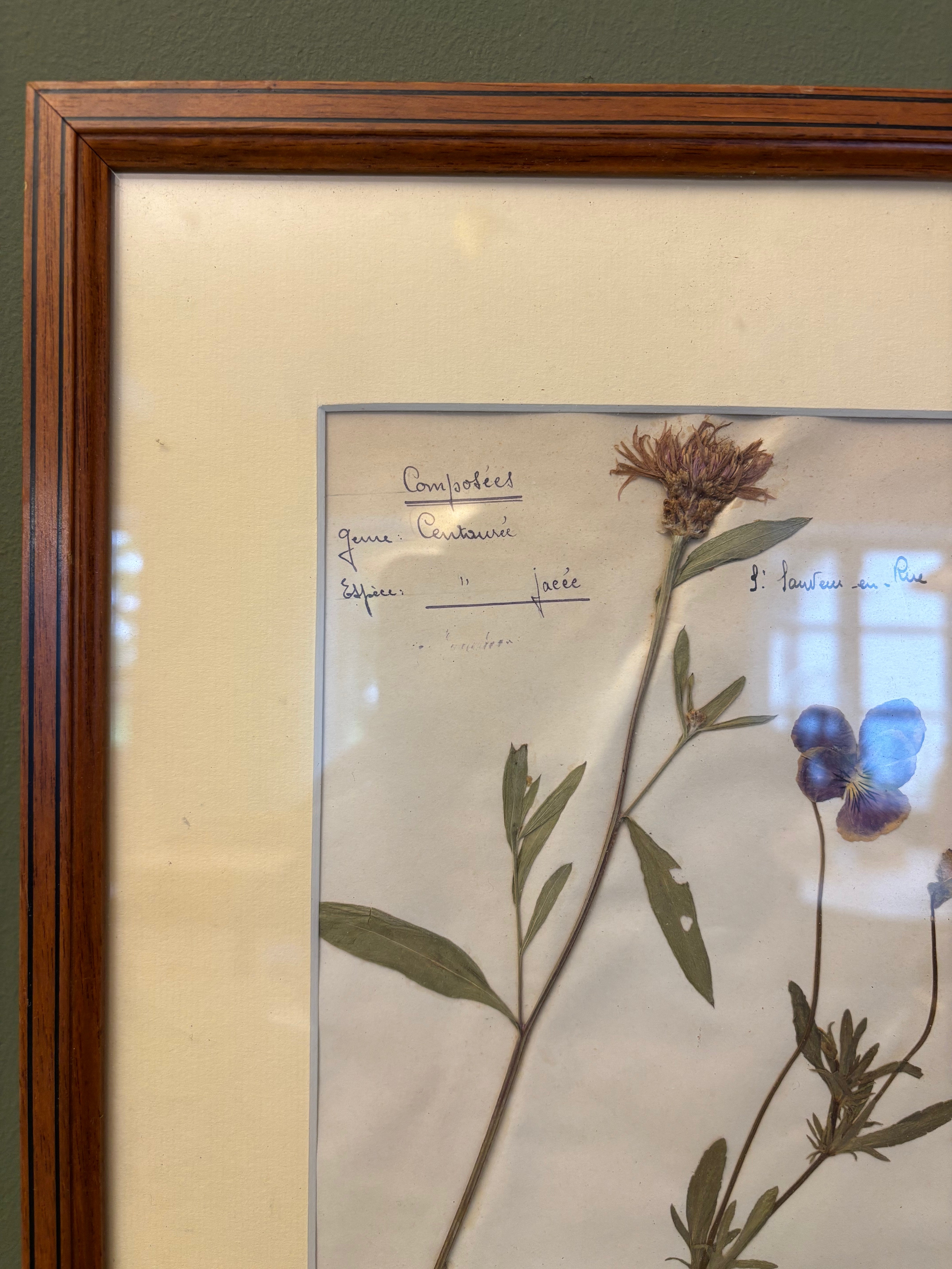 Billede med tørrede blomster