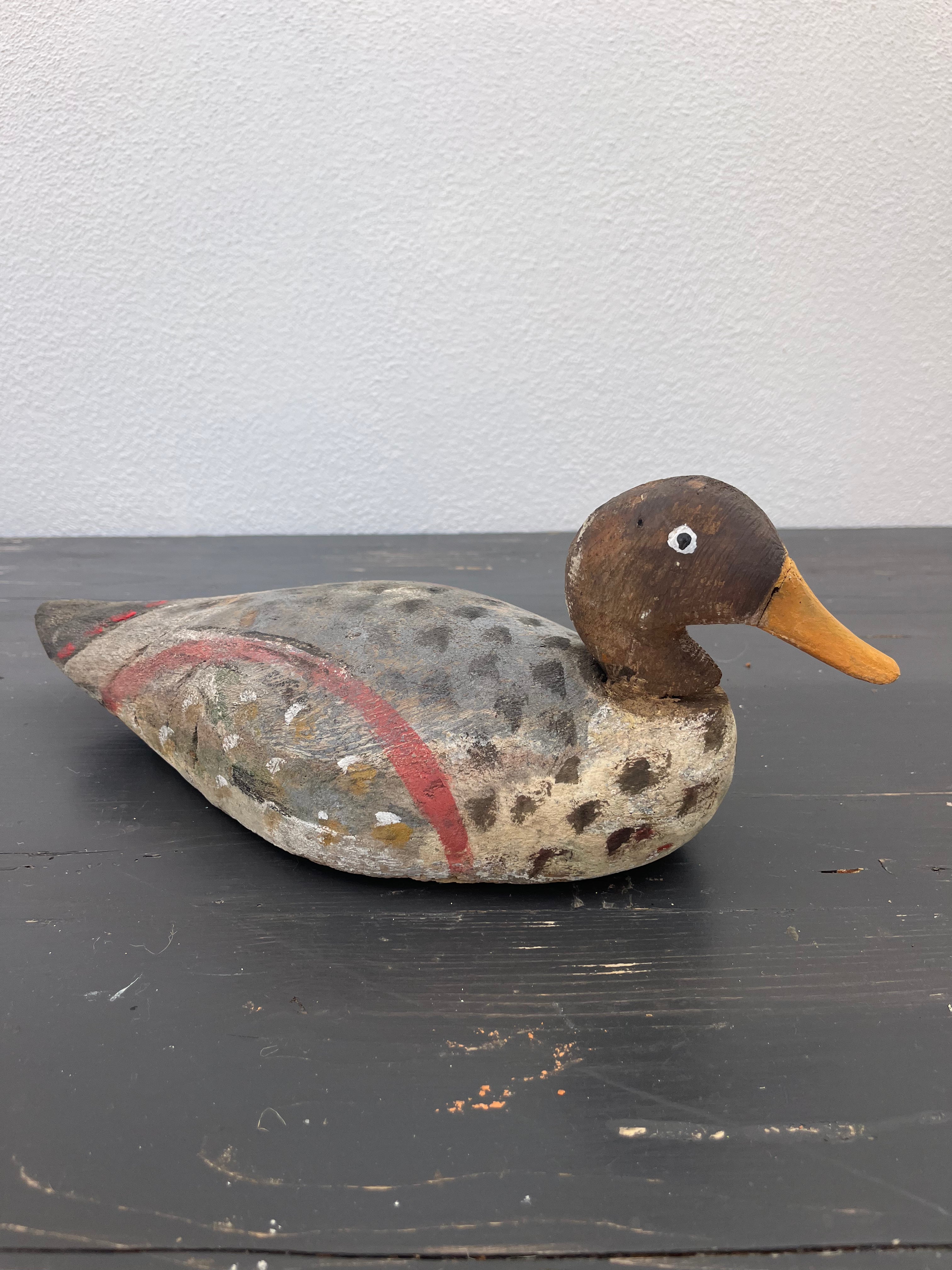 Fransk lokkeand, 37 cm