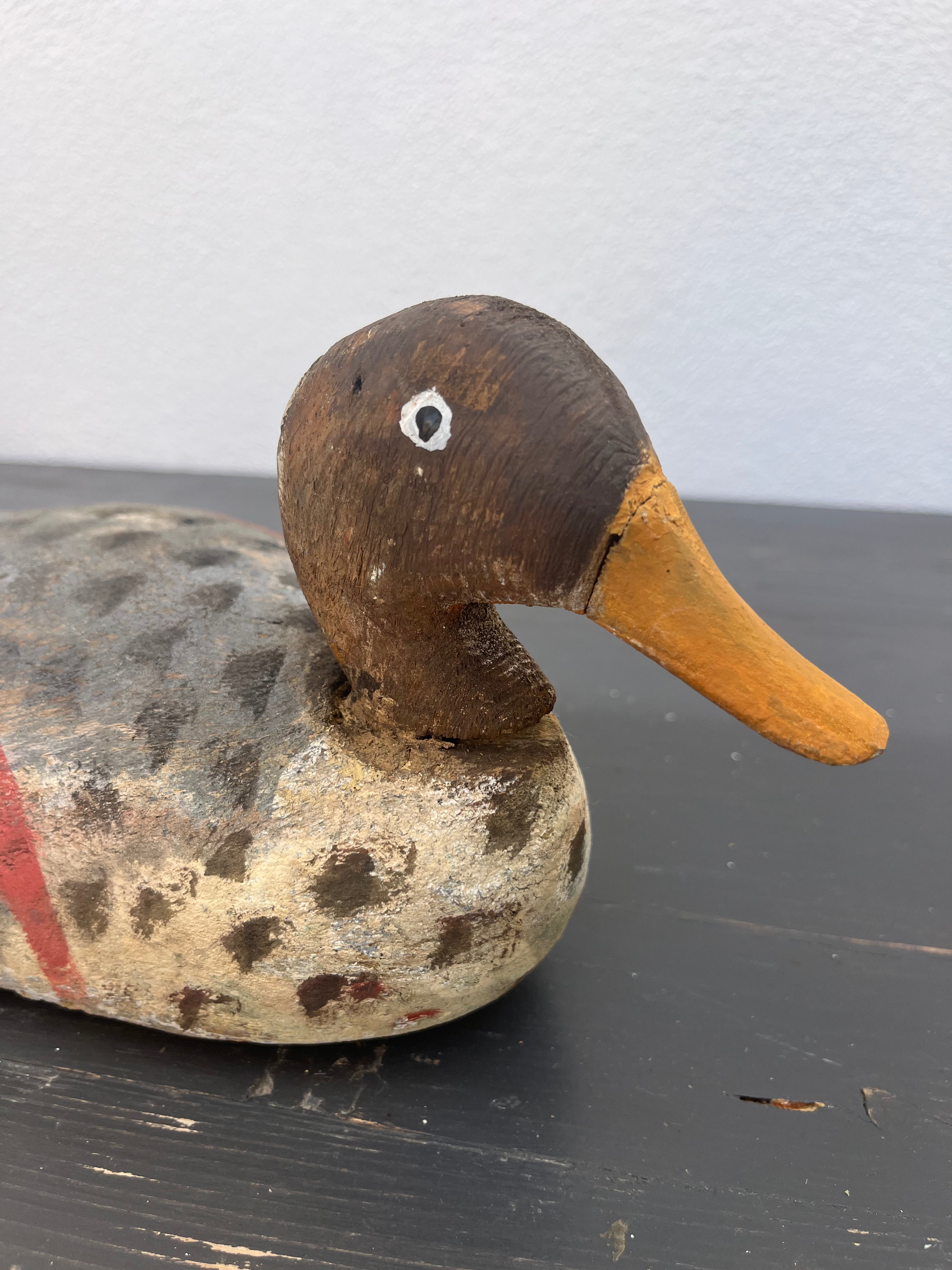 Fransk lokkeand, 37 cm