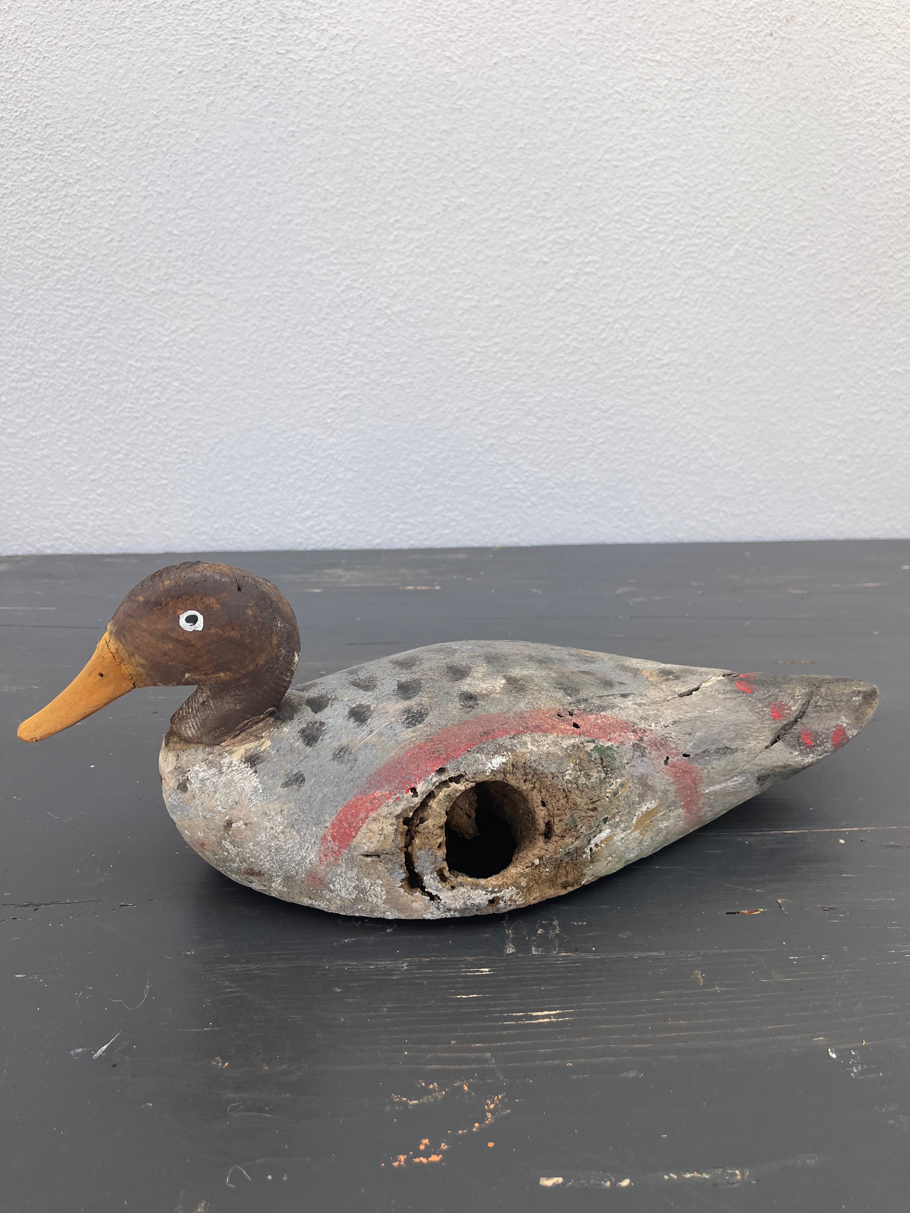 Fransk lokkeand, 37 cm