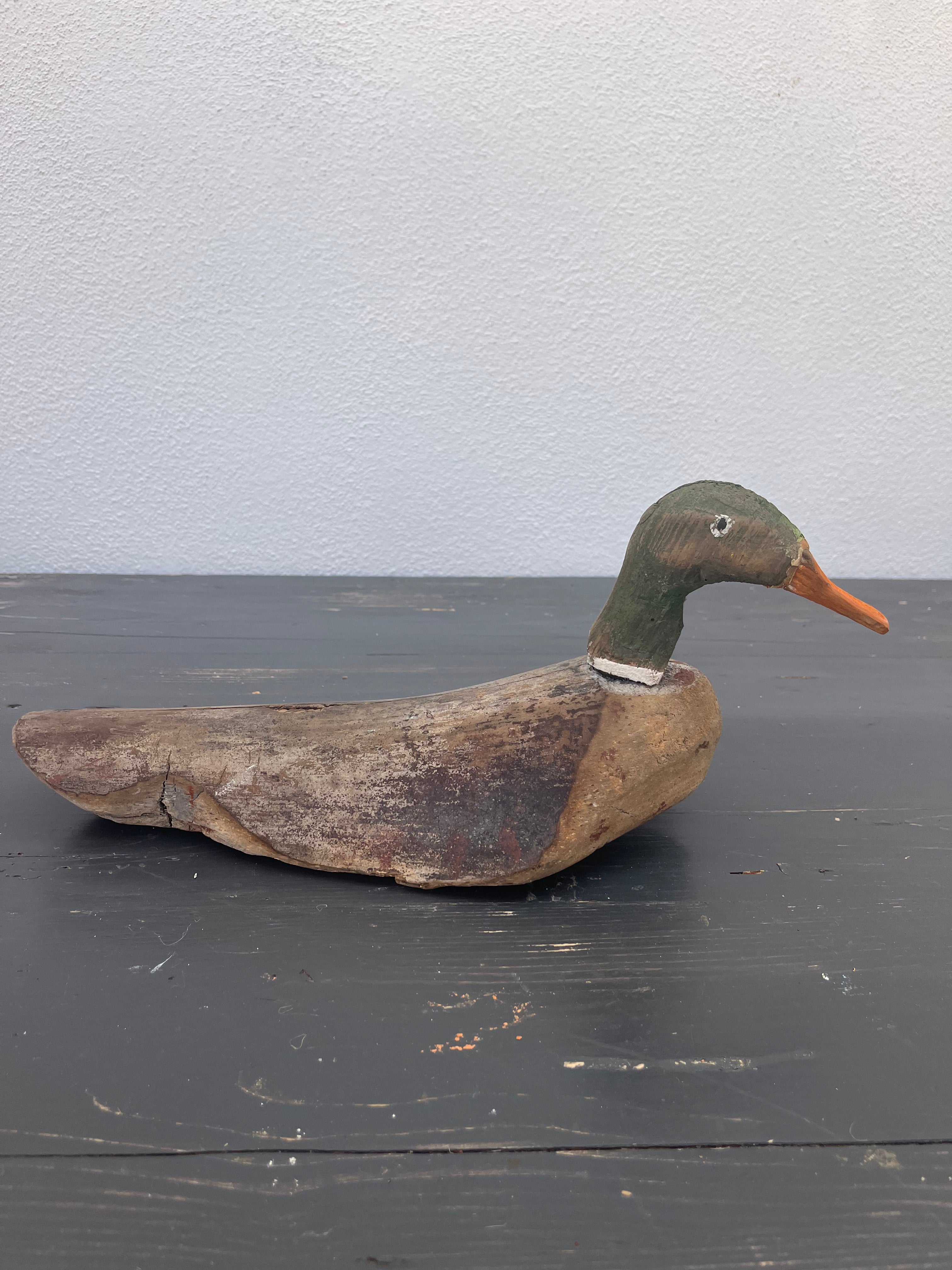 Fransk lokkeand, 37 cm