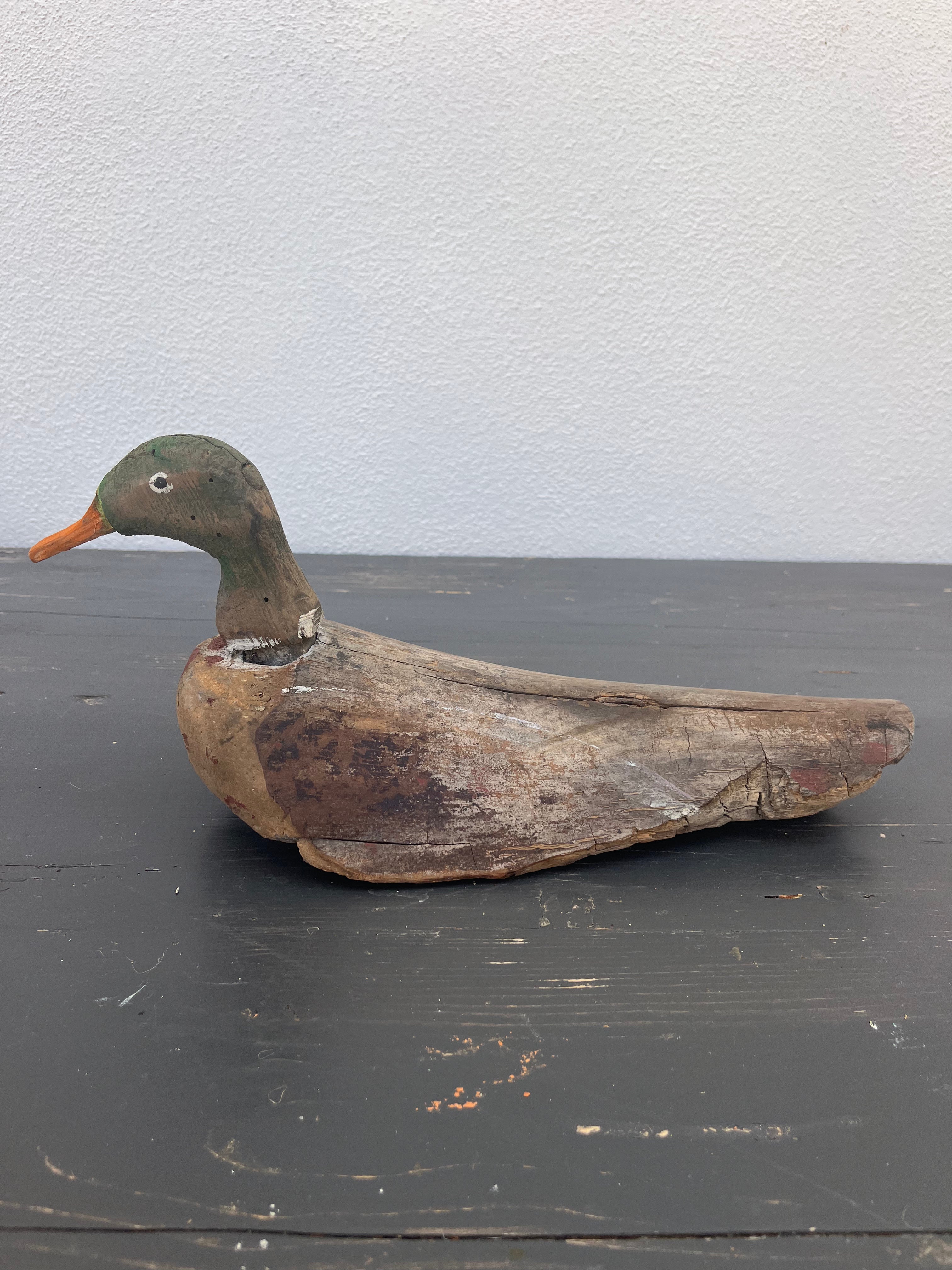 Fransk lokkeand, 37 cm