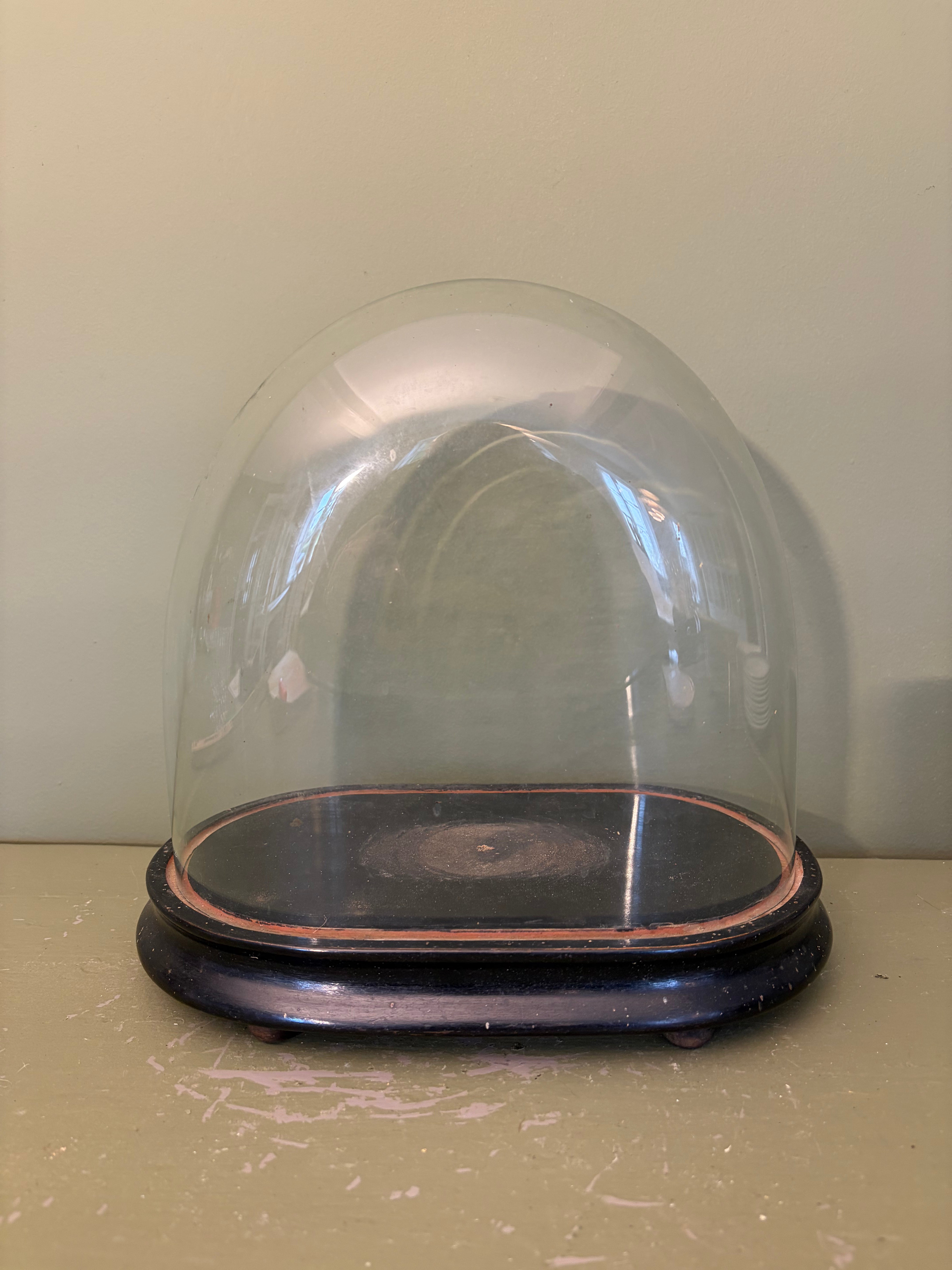 Glaskuppel, 29 cm