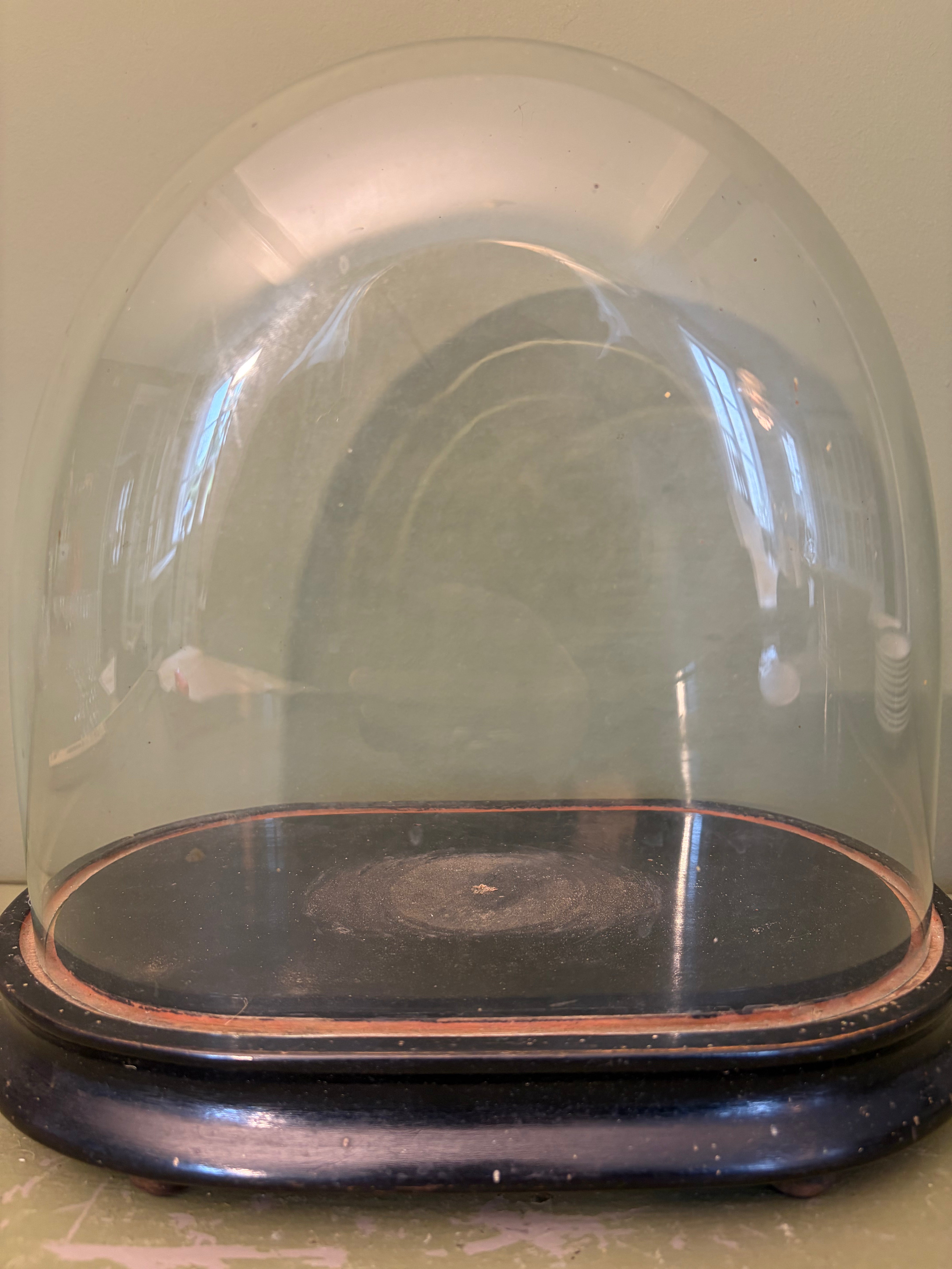 Glaskuppel, 29 cm