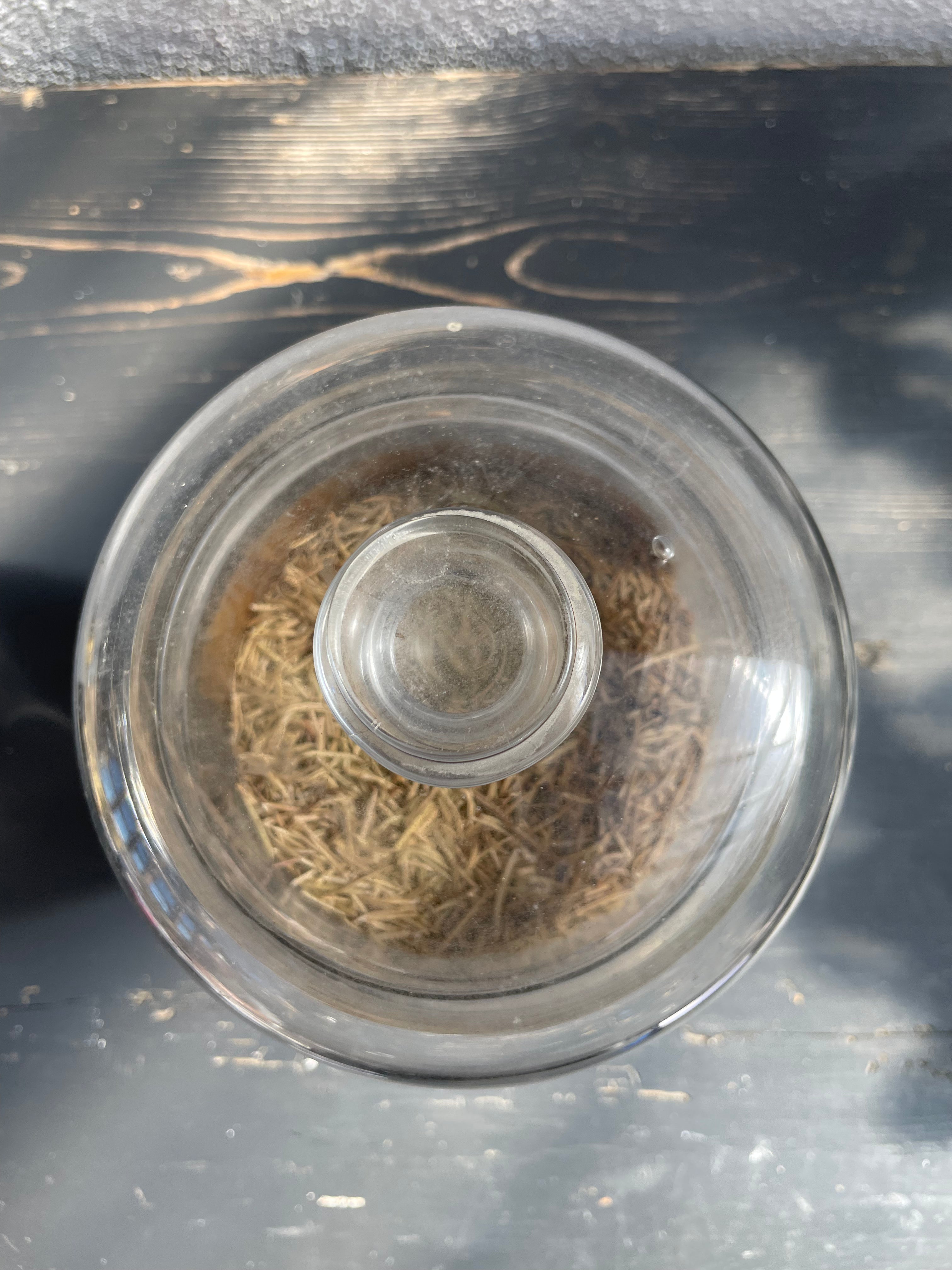 Fransk apotekerglas