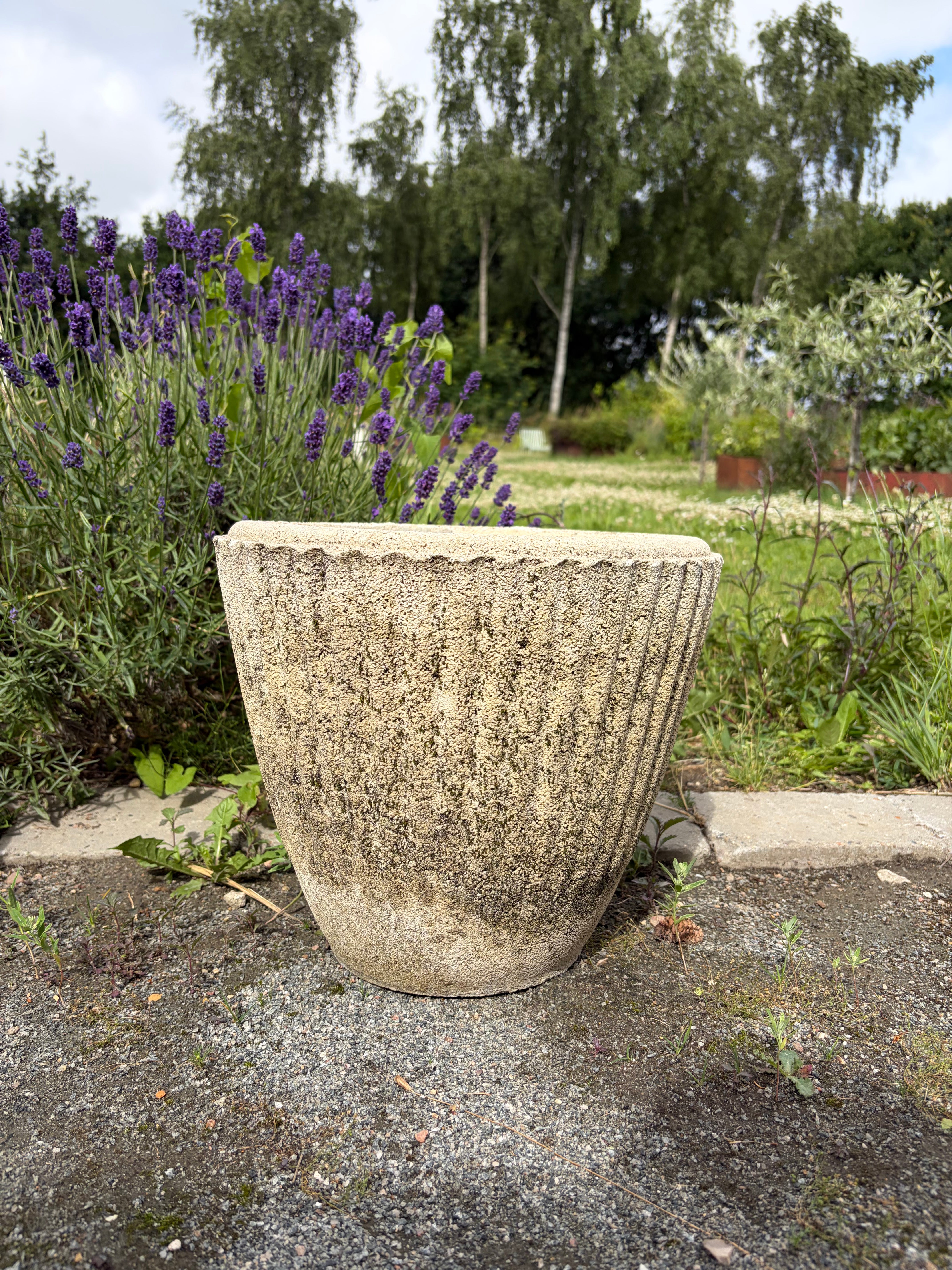 Havekrukke, 30 cm