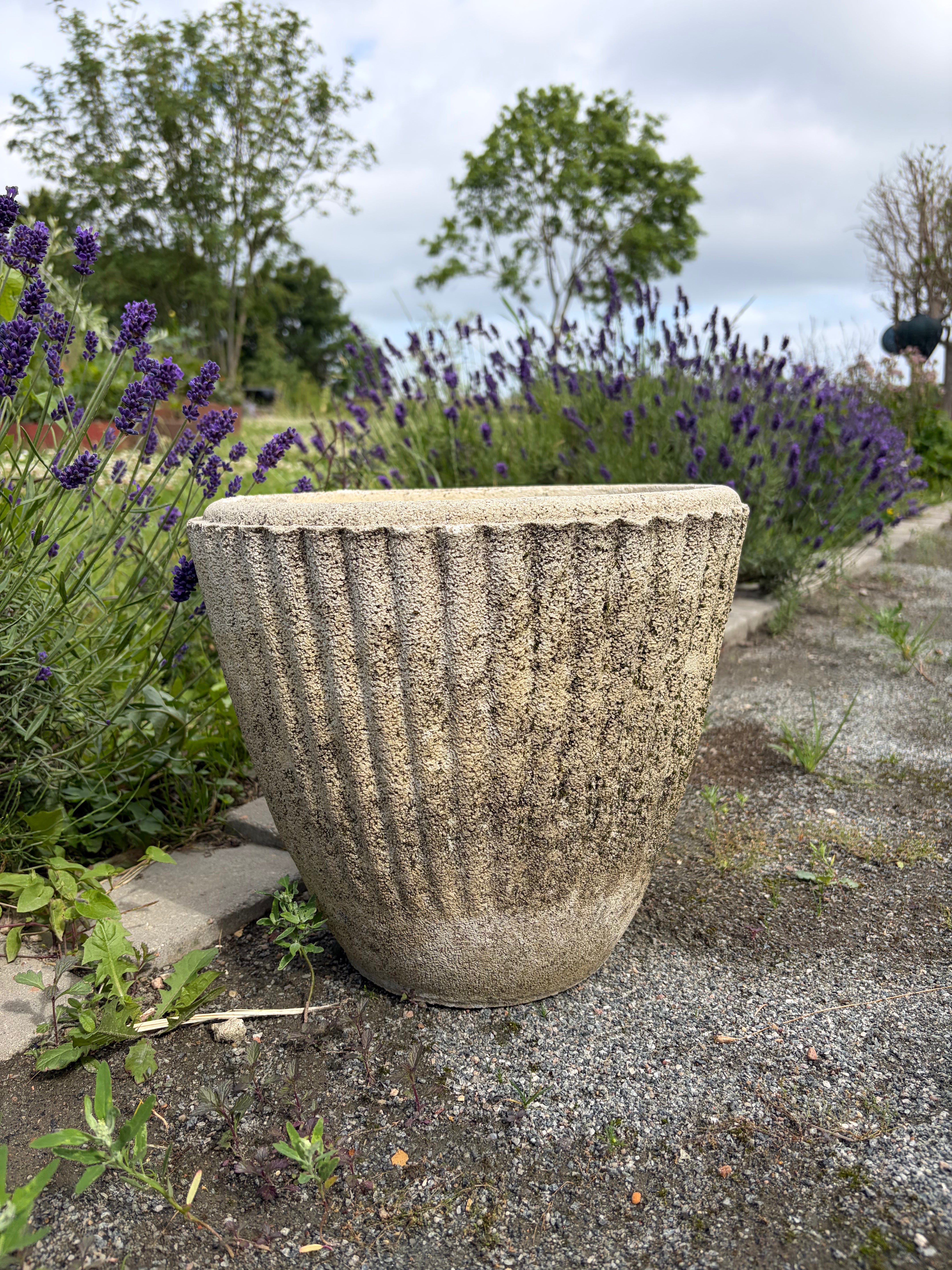 Havekrukke, 30 cm