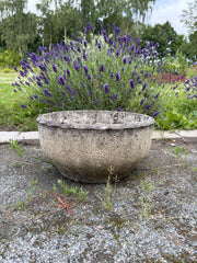Havekrukke, 19 cm