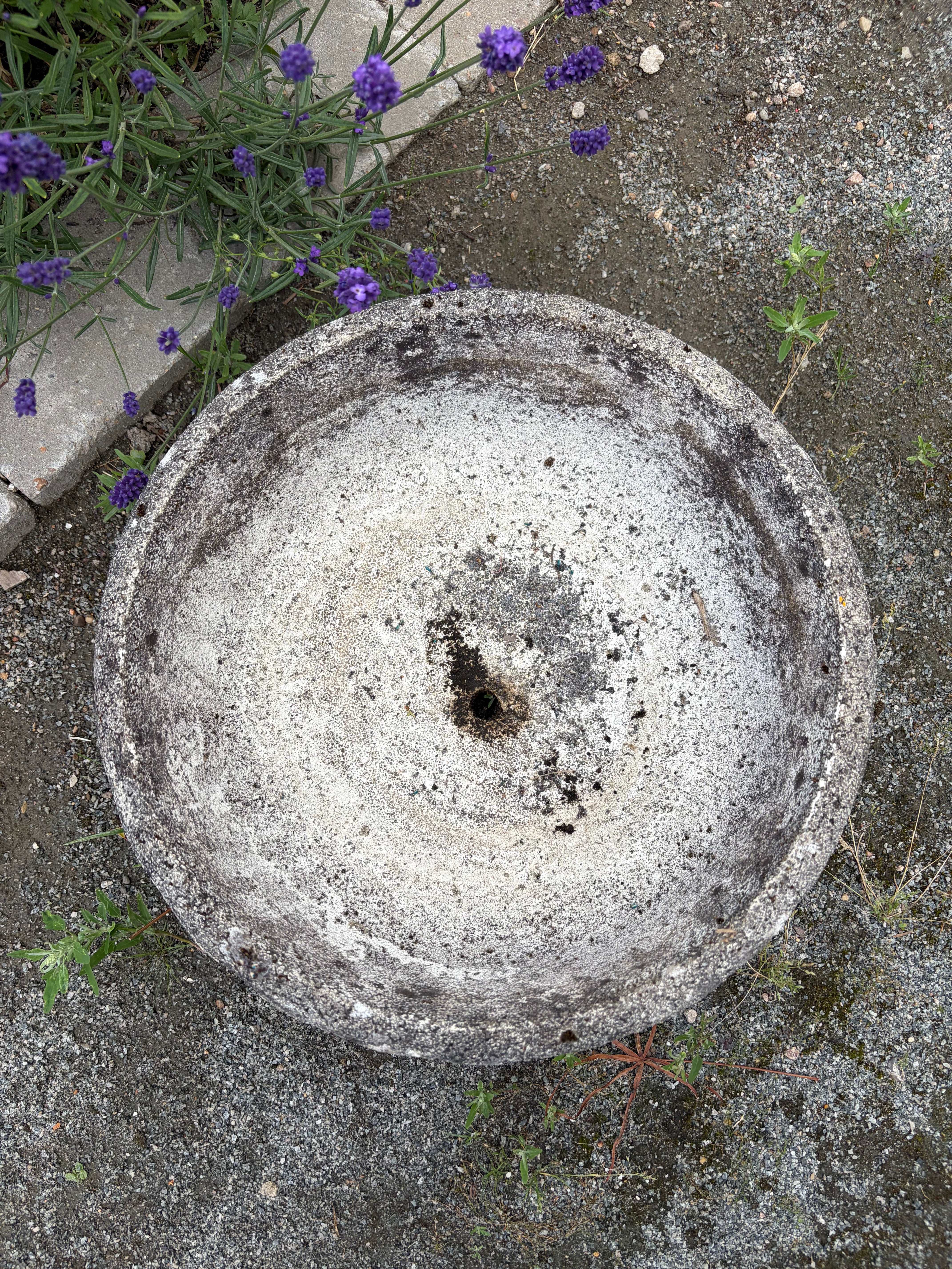 Havekrukke, 19 cm