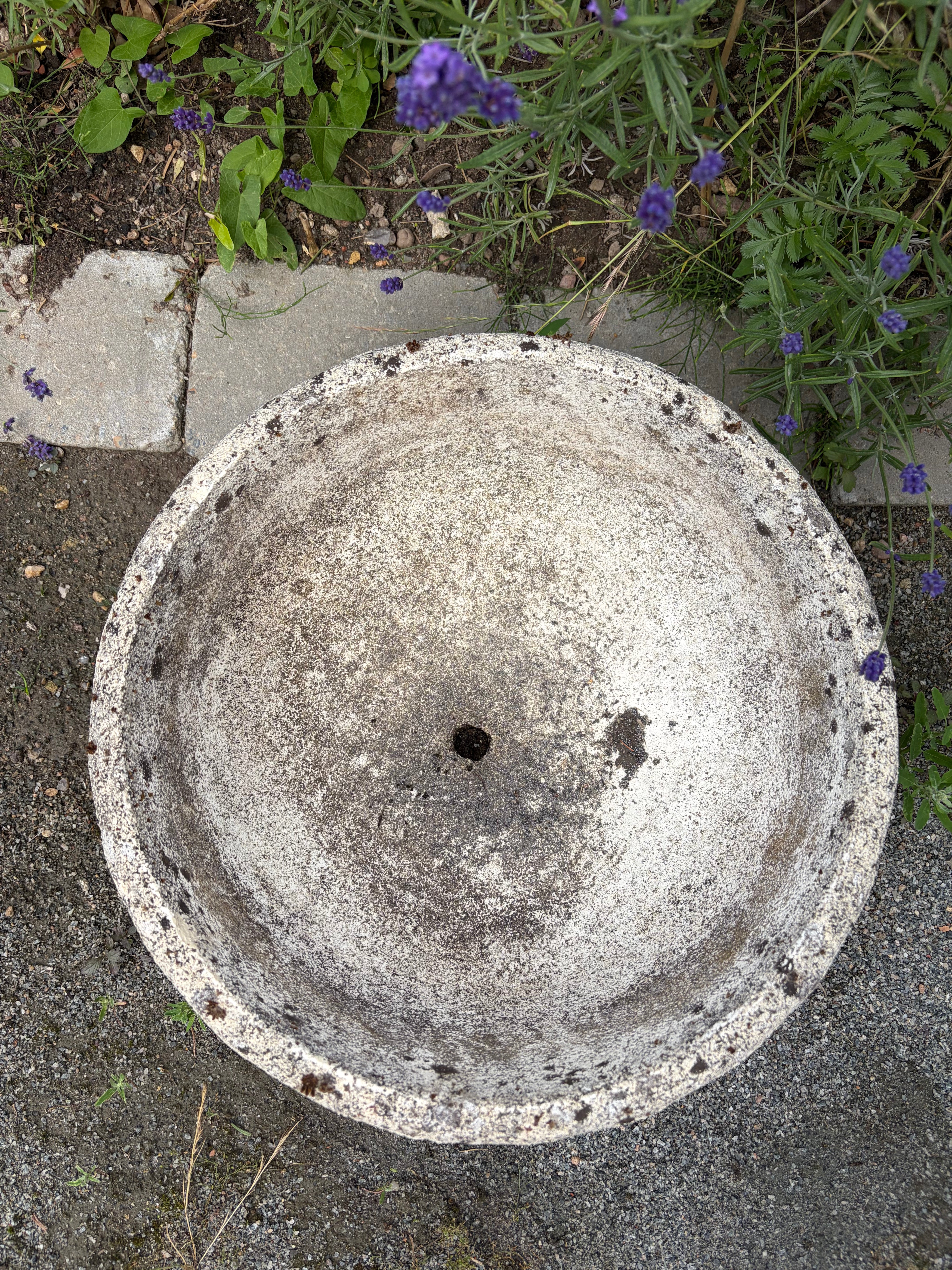 Havekrukke, 19 cm
