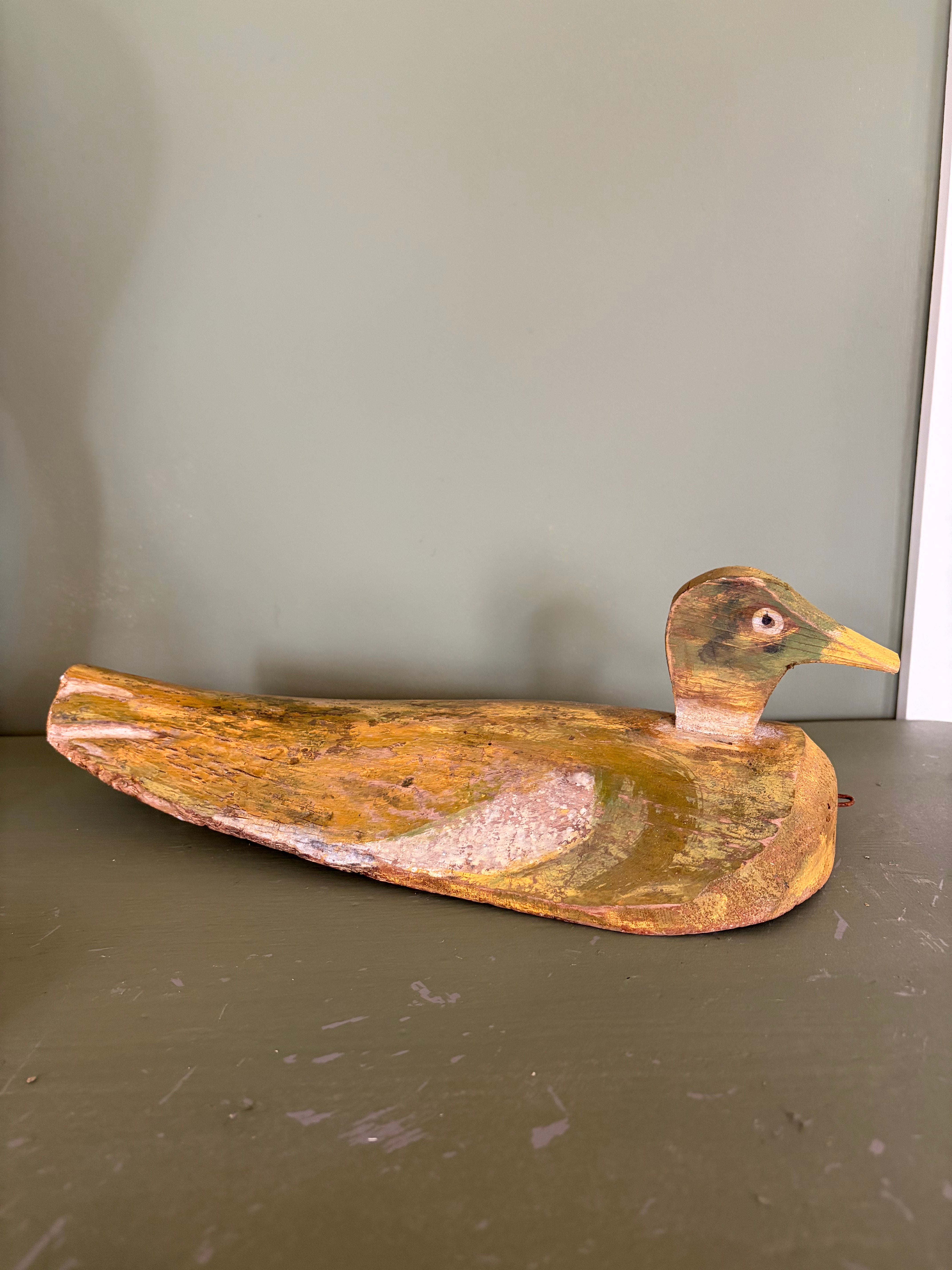 Lokkeand, 43 cm