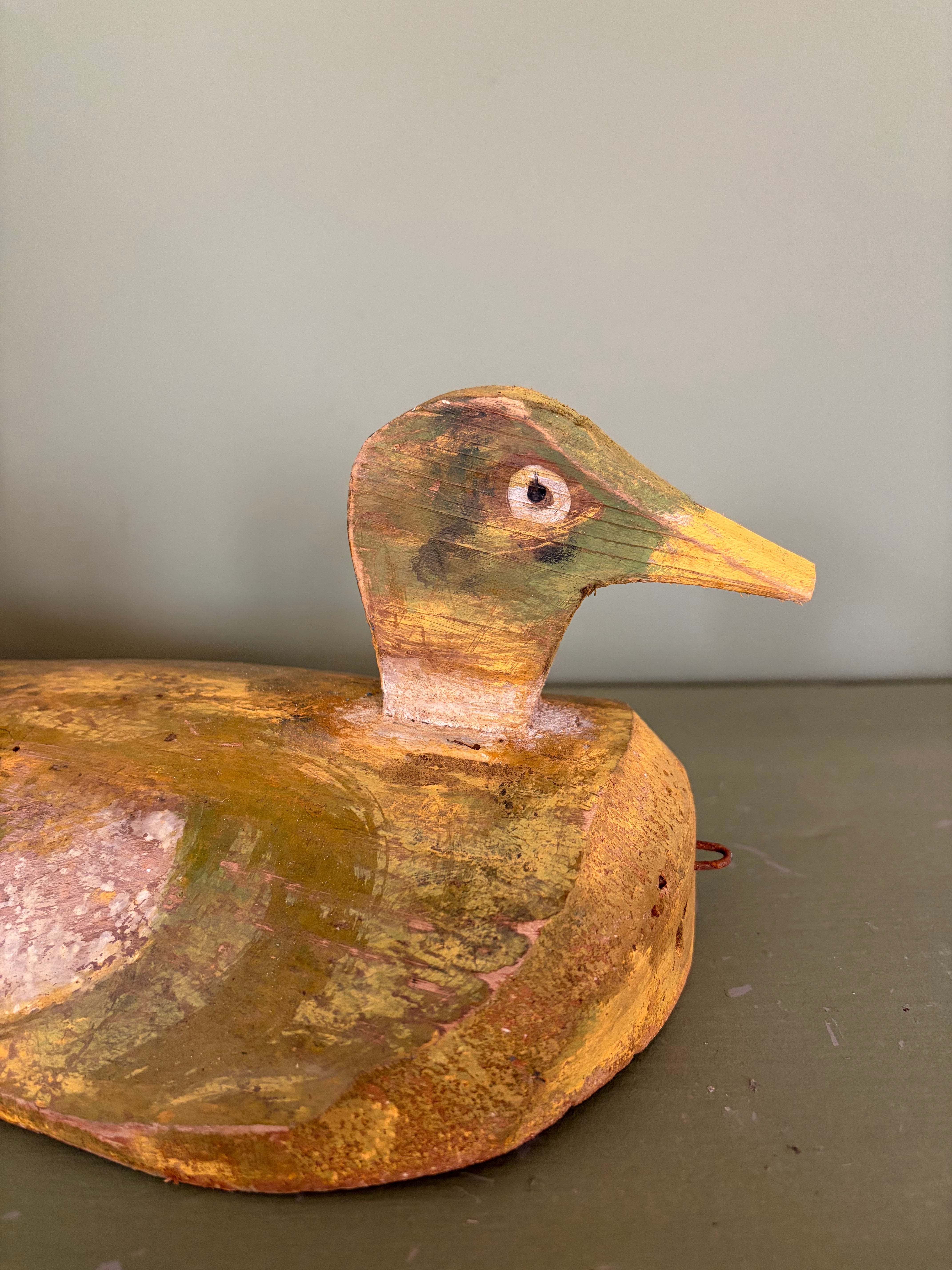 Lokkeand, 43 cm