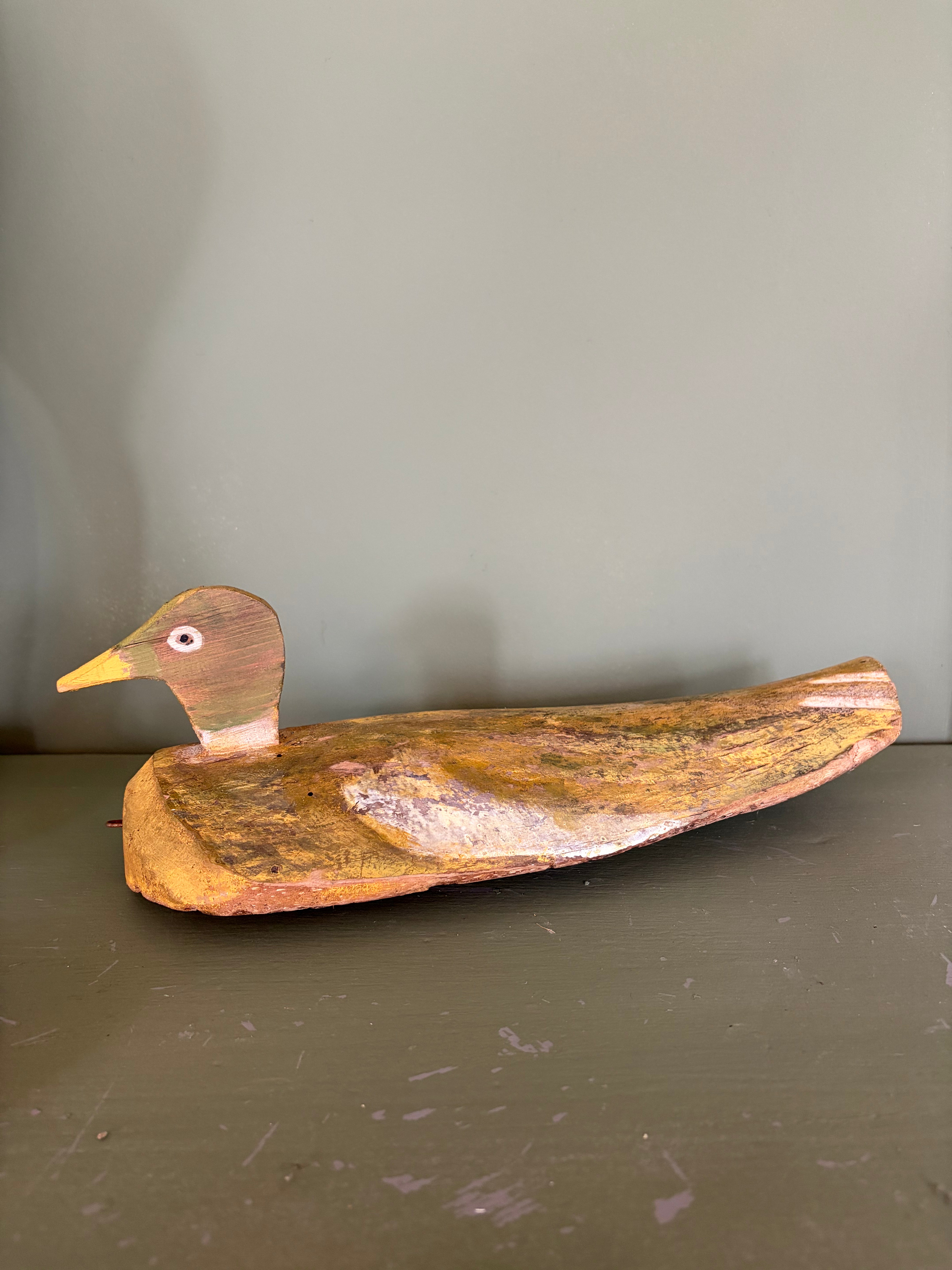 Lokkeand, 43 cm