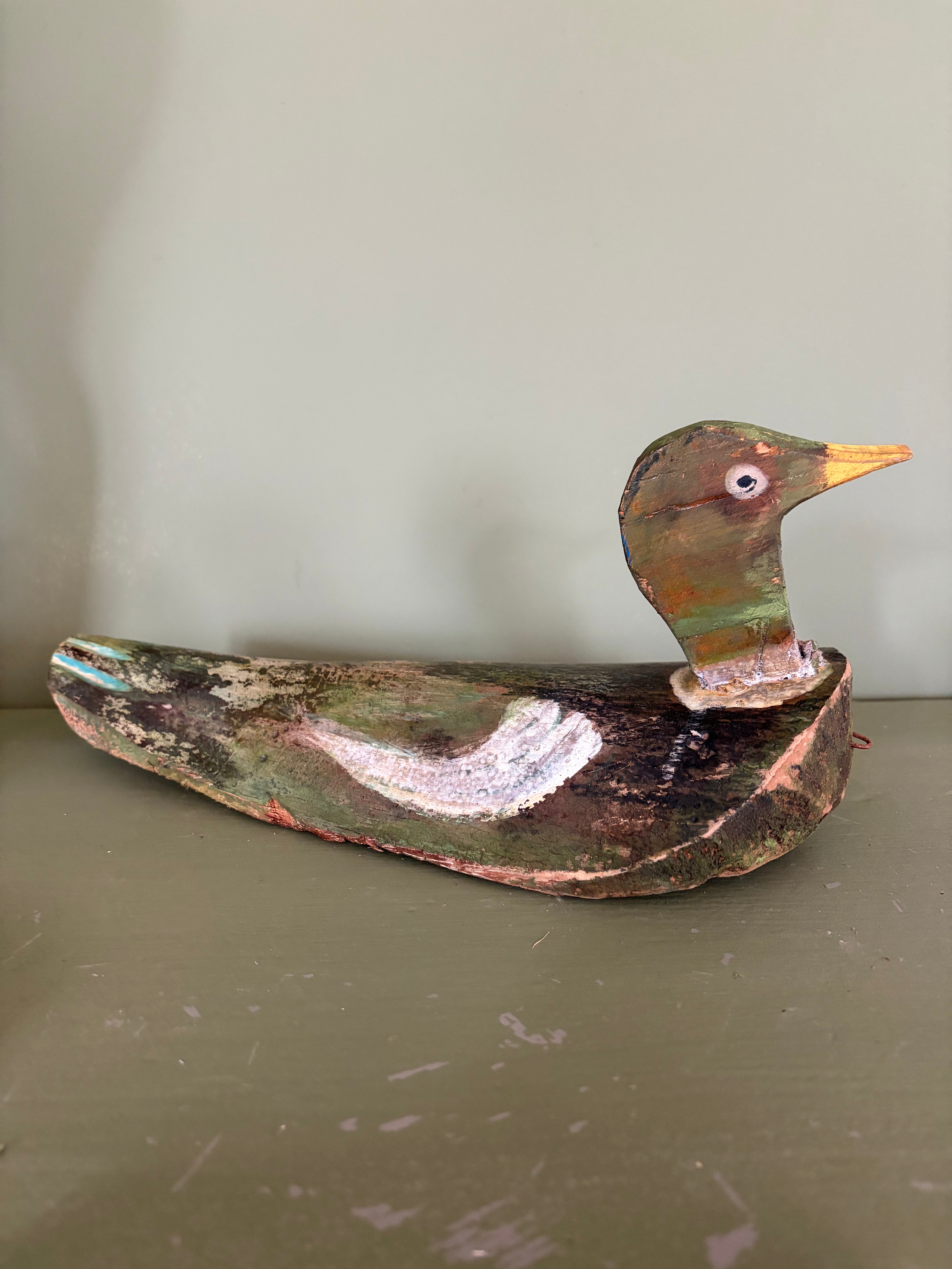 Lokkeand, 40 cm