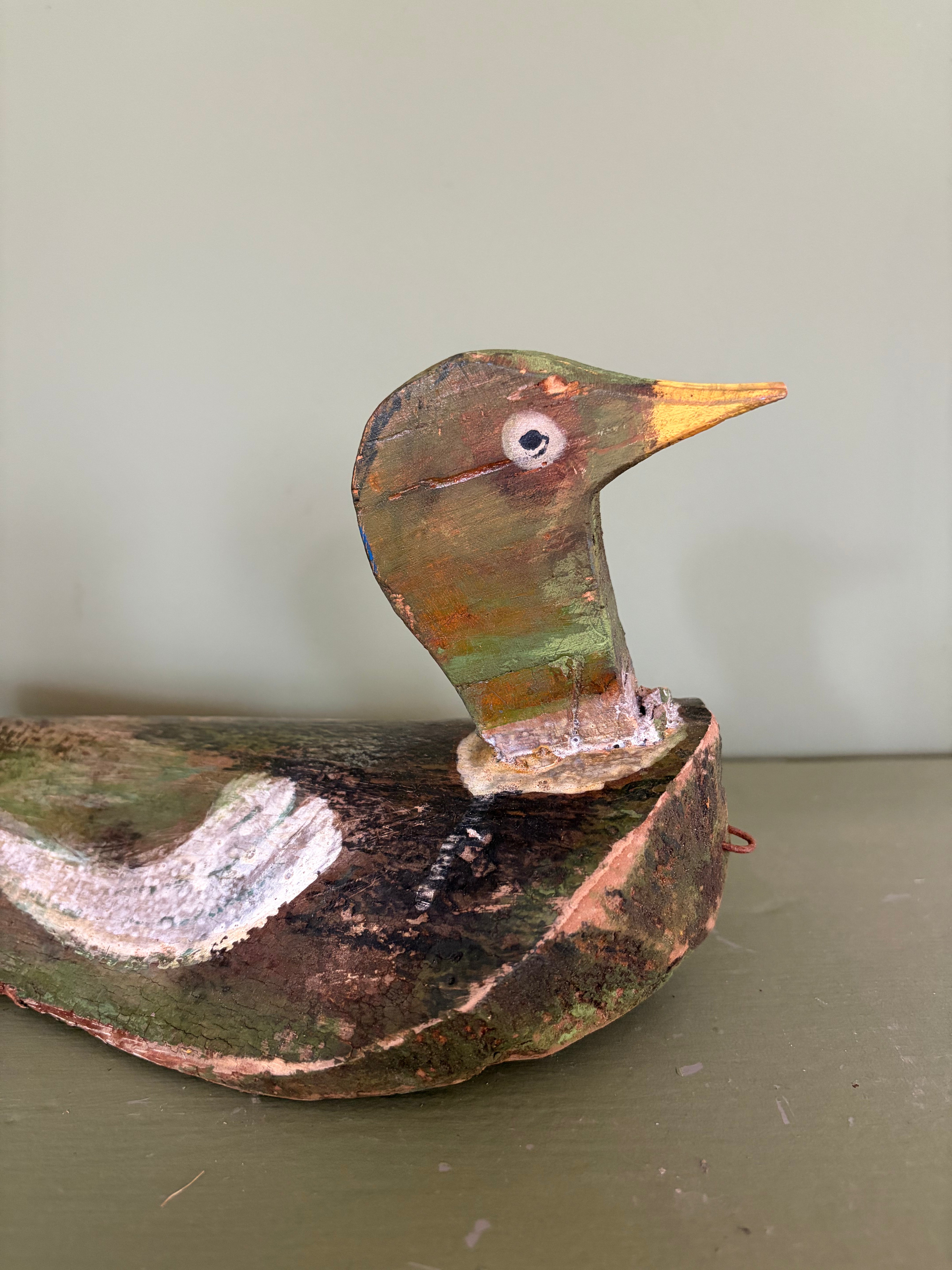 Lokkeand, 40 cm