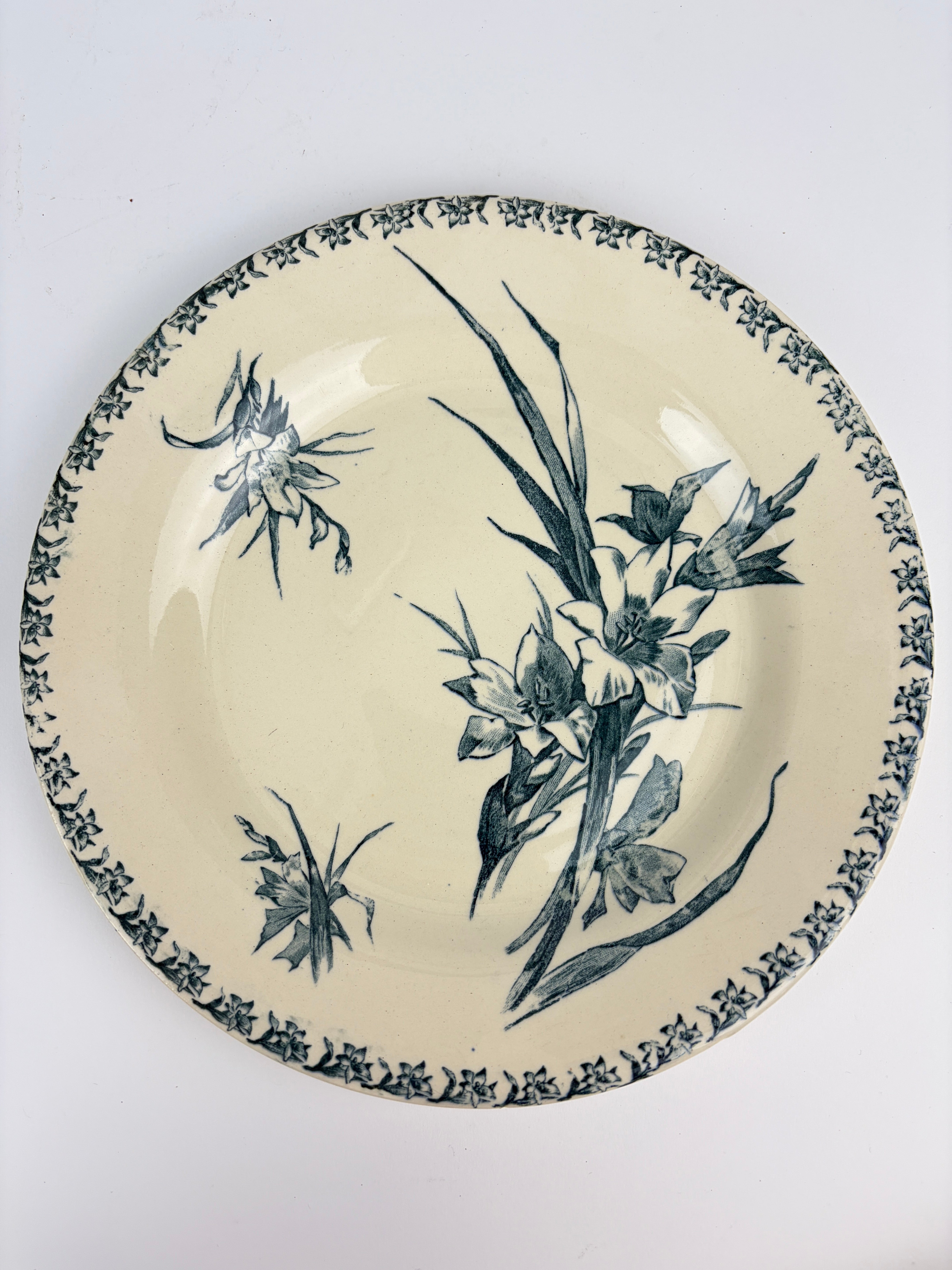 Franske tallerkener, Ø24 cm - 6 stk.