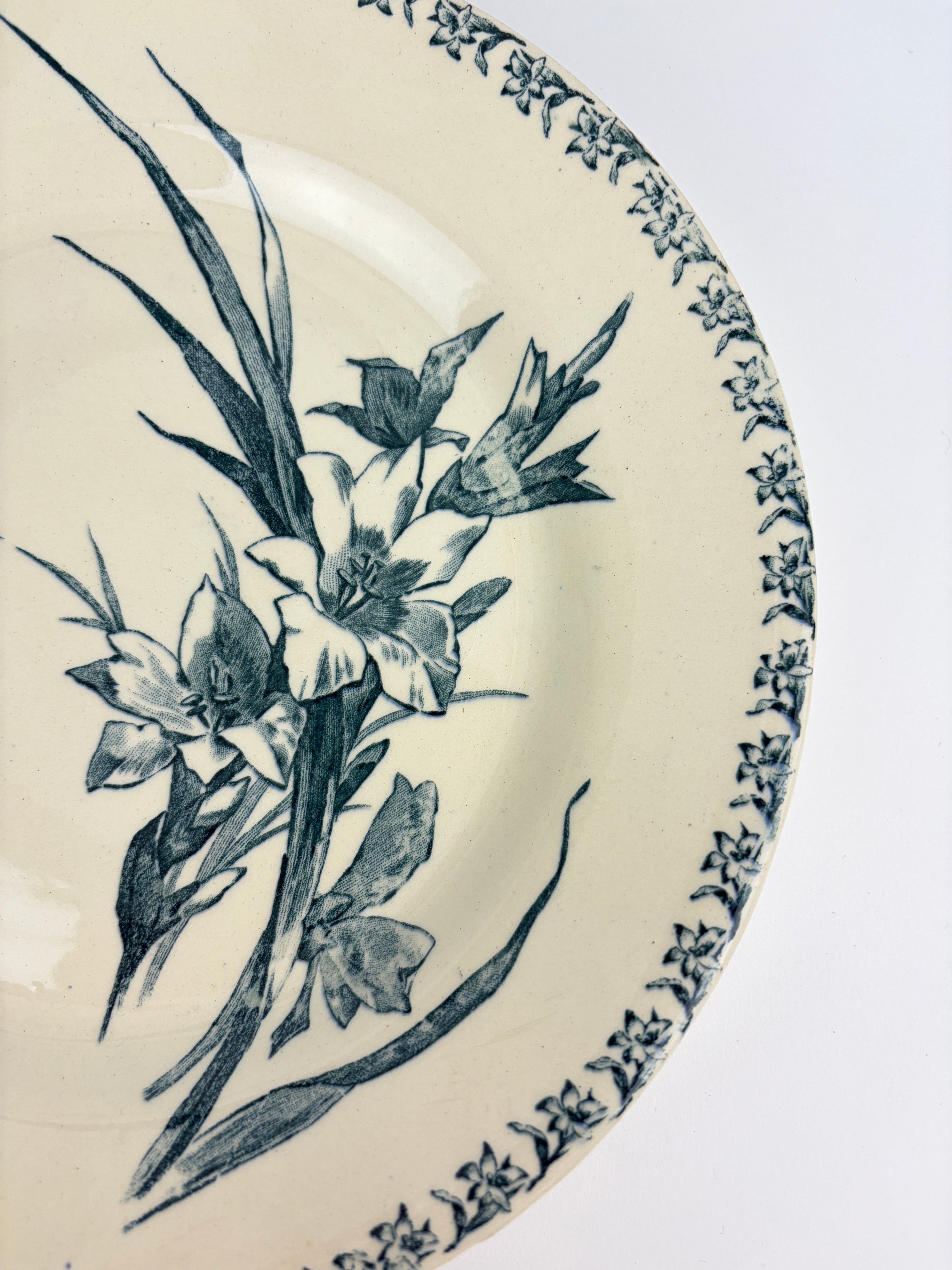 Franske tallerkener, Ø24 cm - 6 stk.