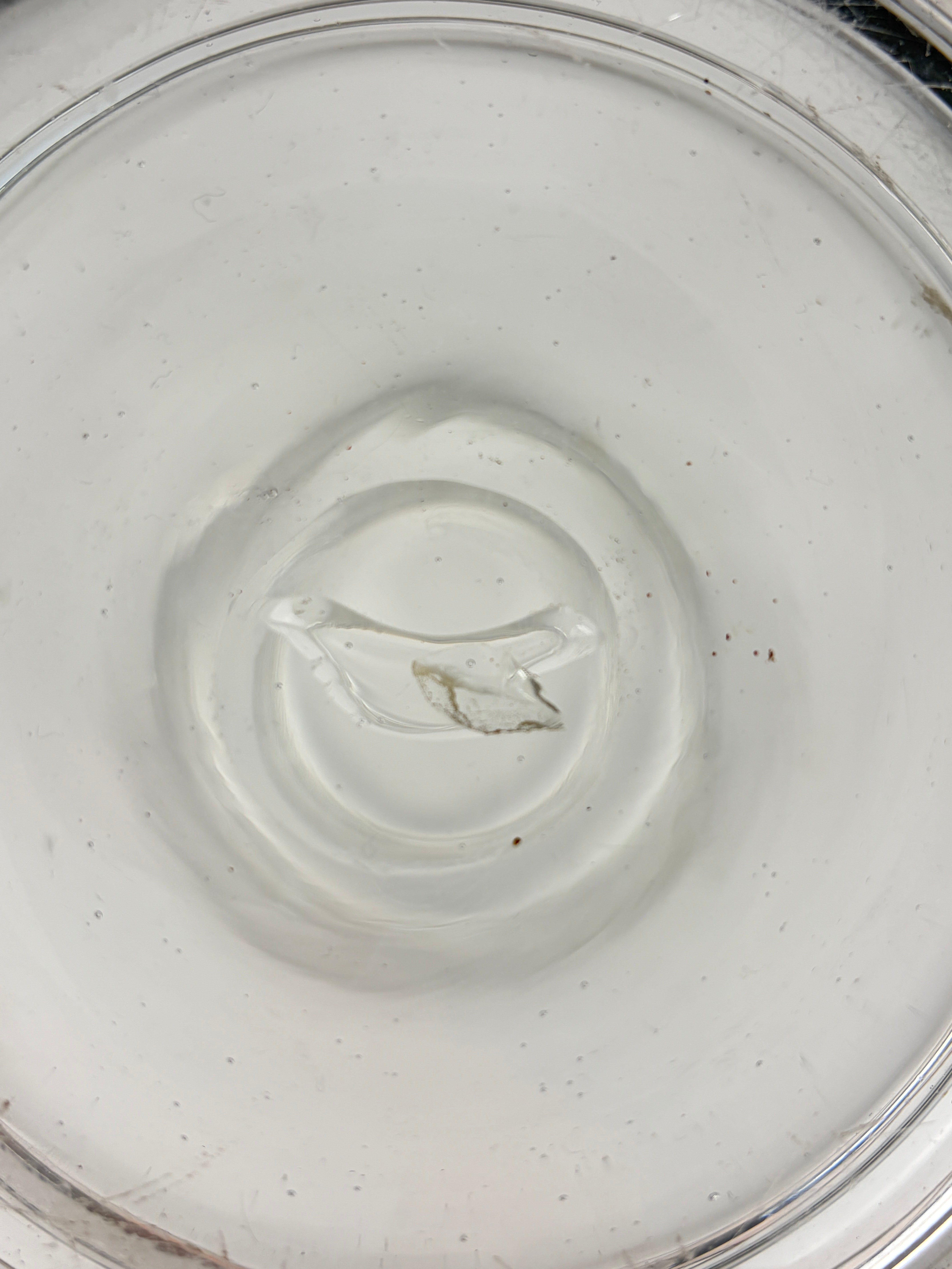 Bolcheglas, 23 cm