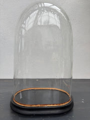 Glaskuppel, H49 cm.