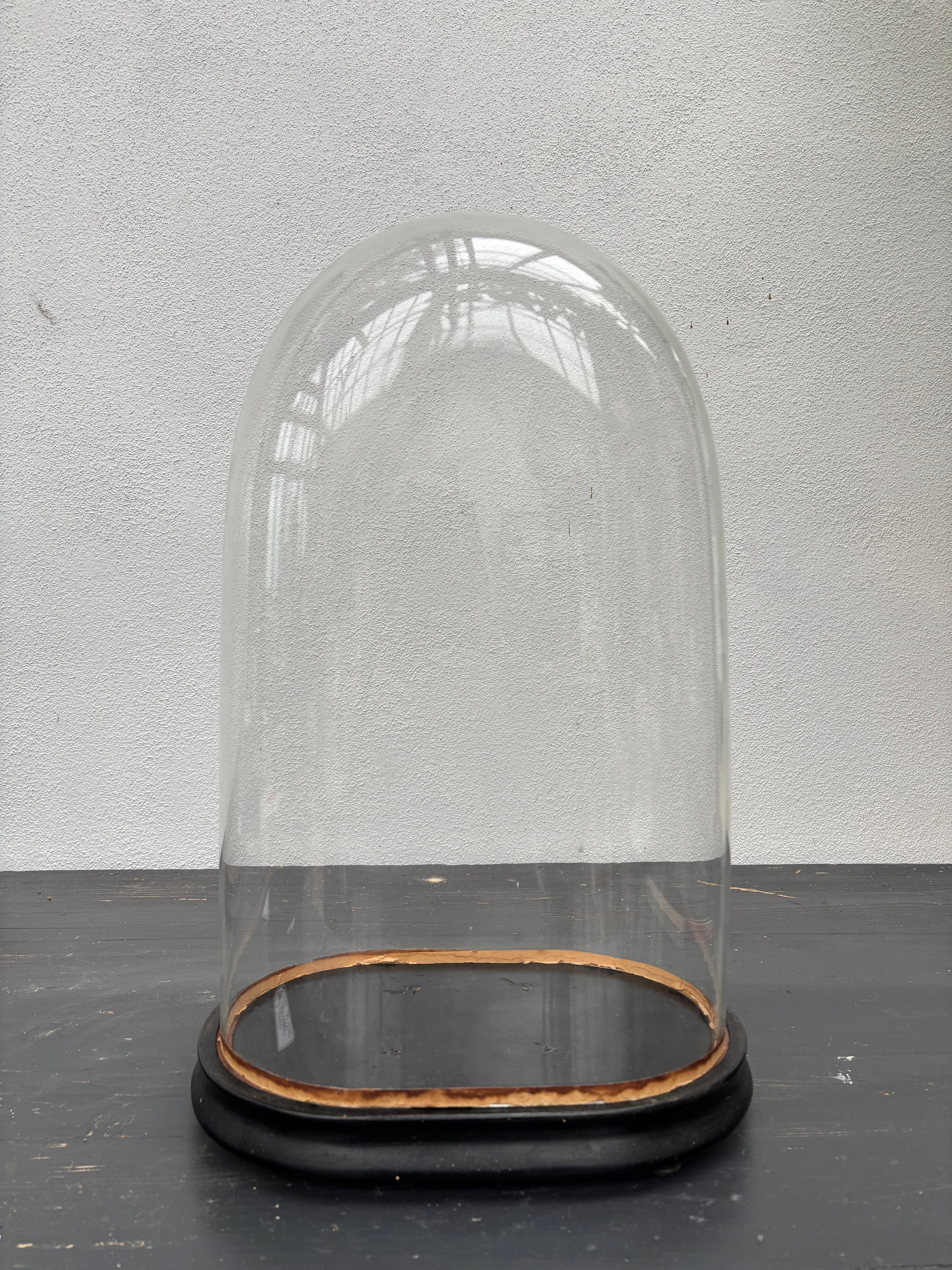 Glaskuppel, H49 cm.