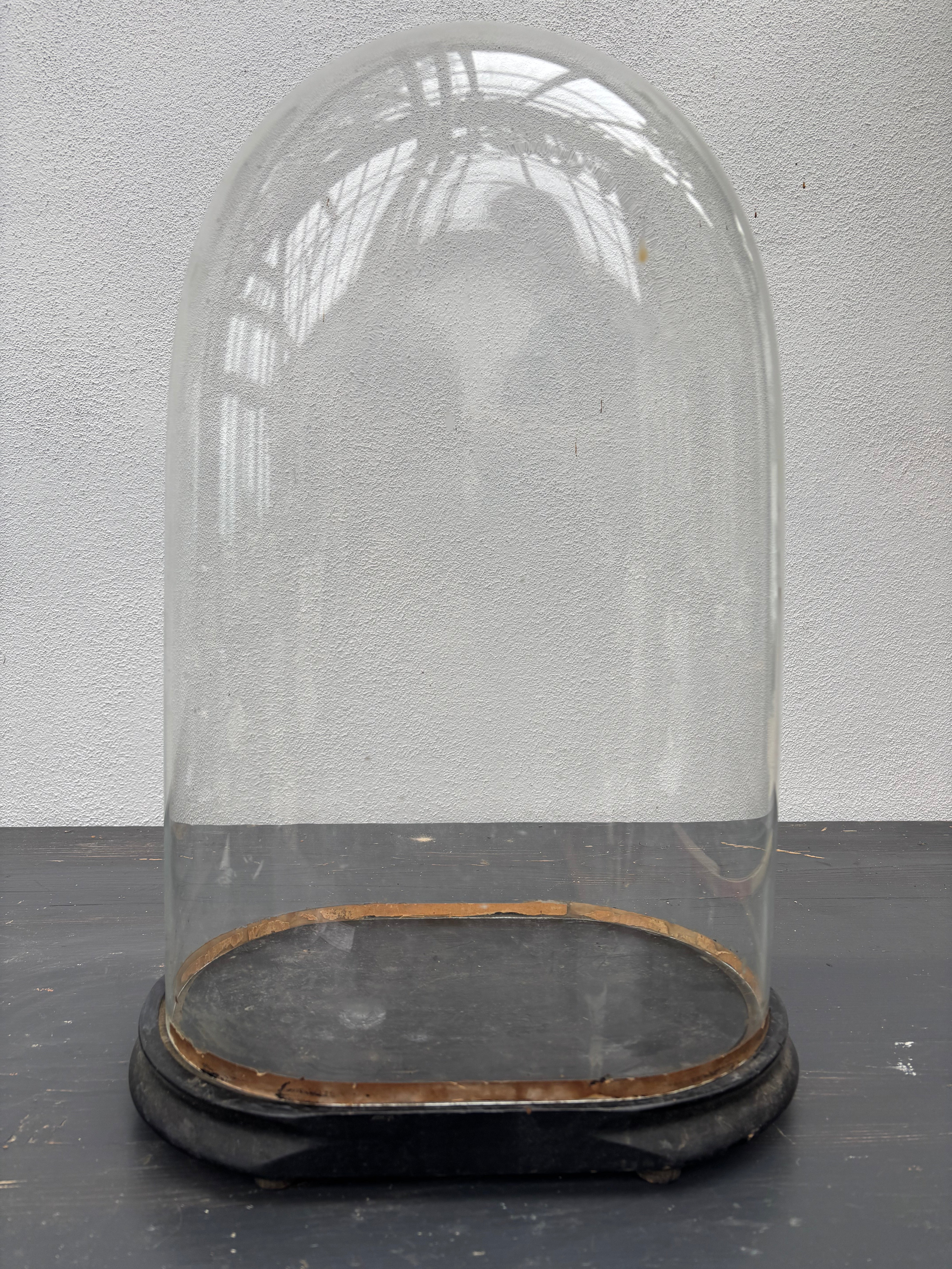 Glaskuppel, H50 cm.