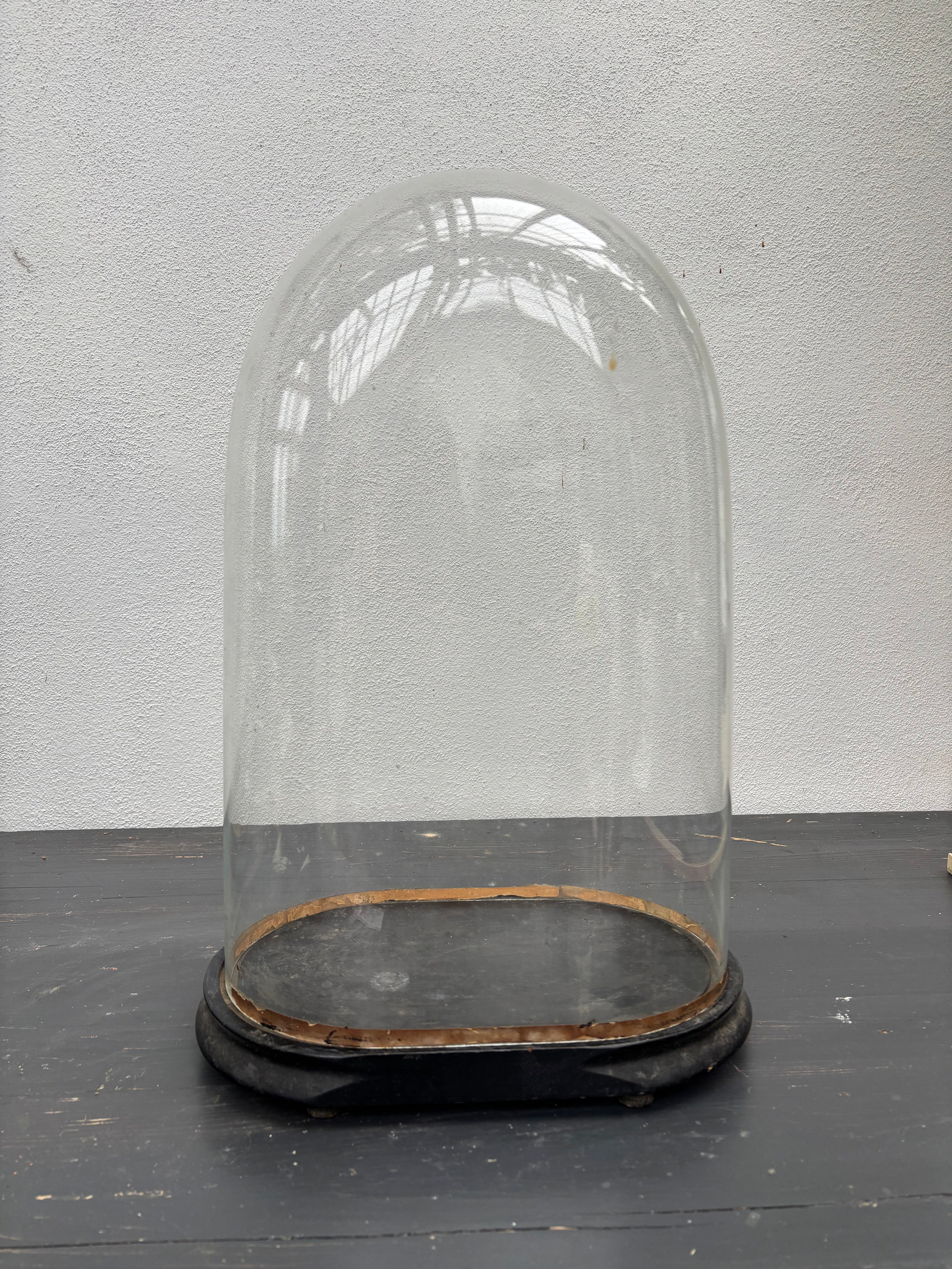 Glaskuppel, H50 cm.