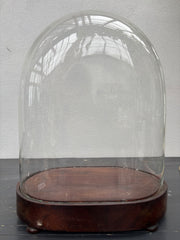 Glaskuppel, H48 cm.