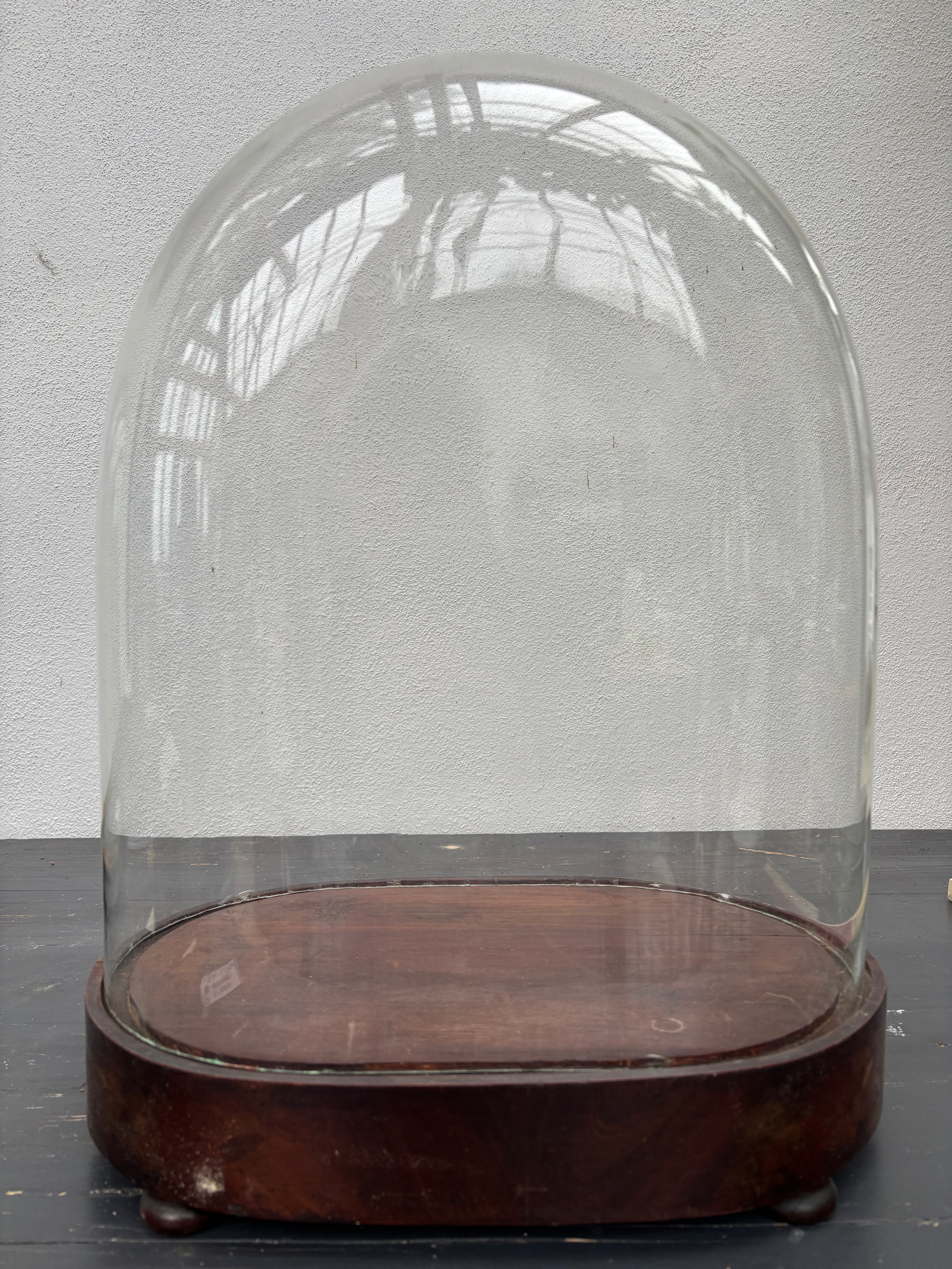 Glaskuppel, H48 cm.
