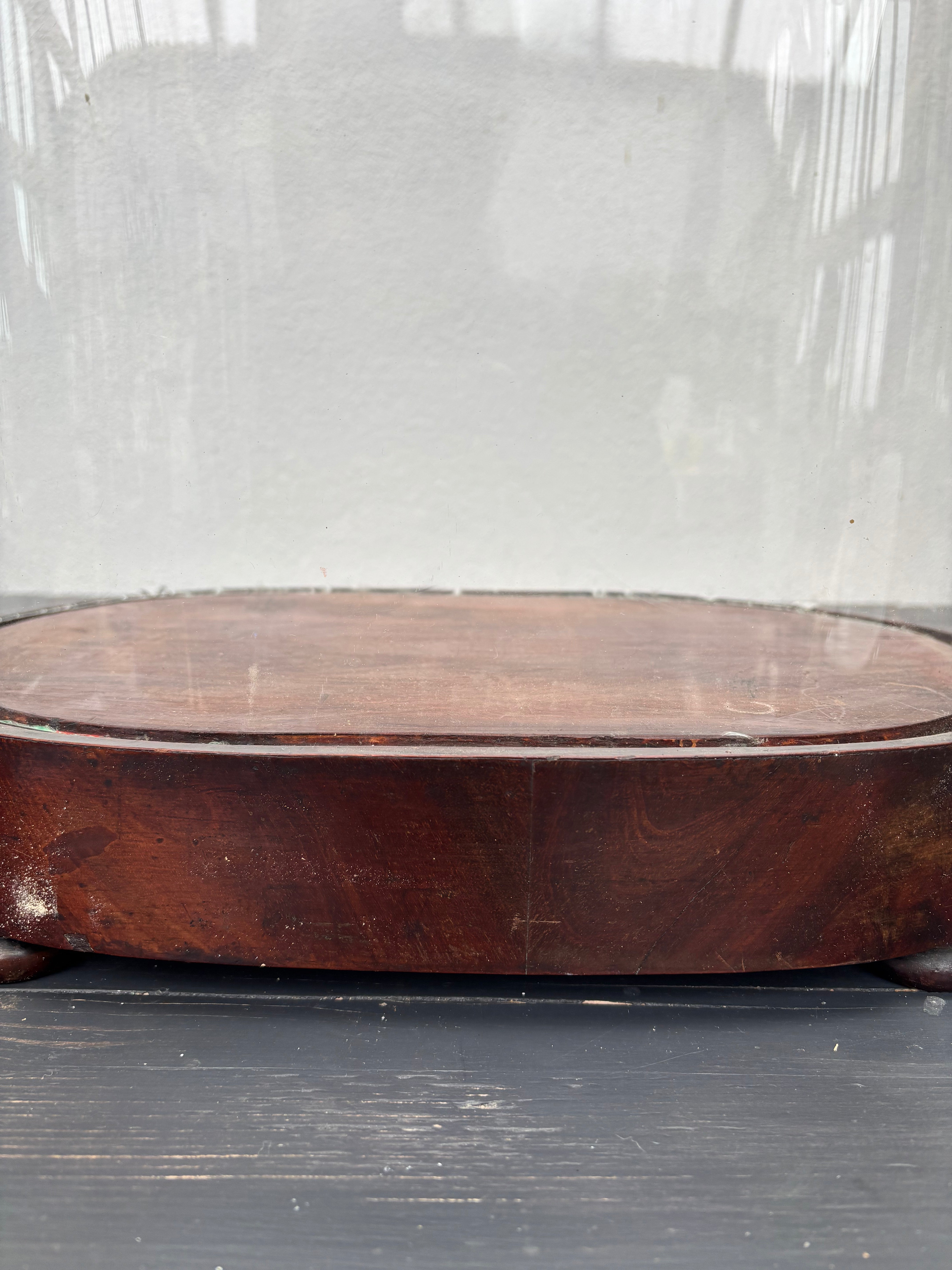 Glaskuppel, H48 cm.