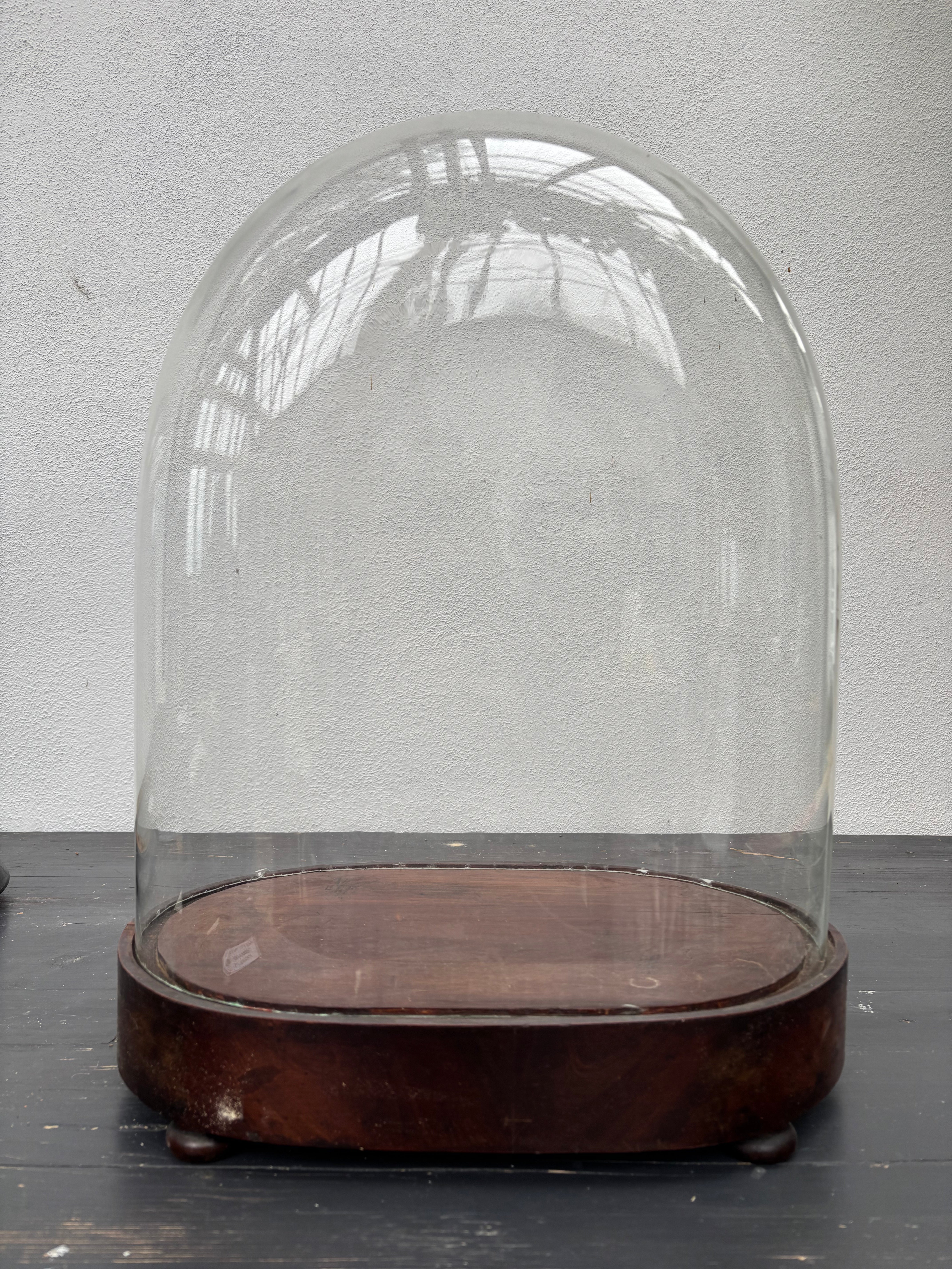 Glaskuppel, H48 cm.