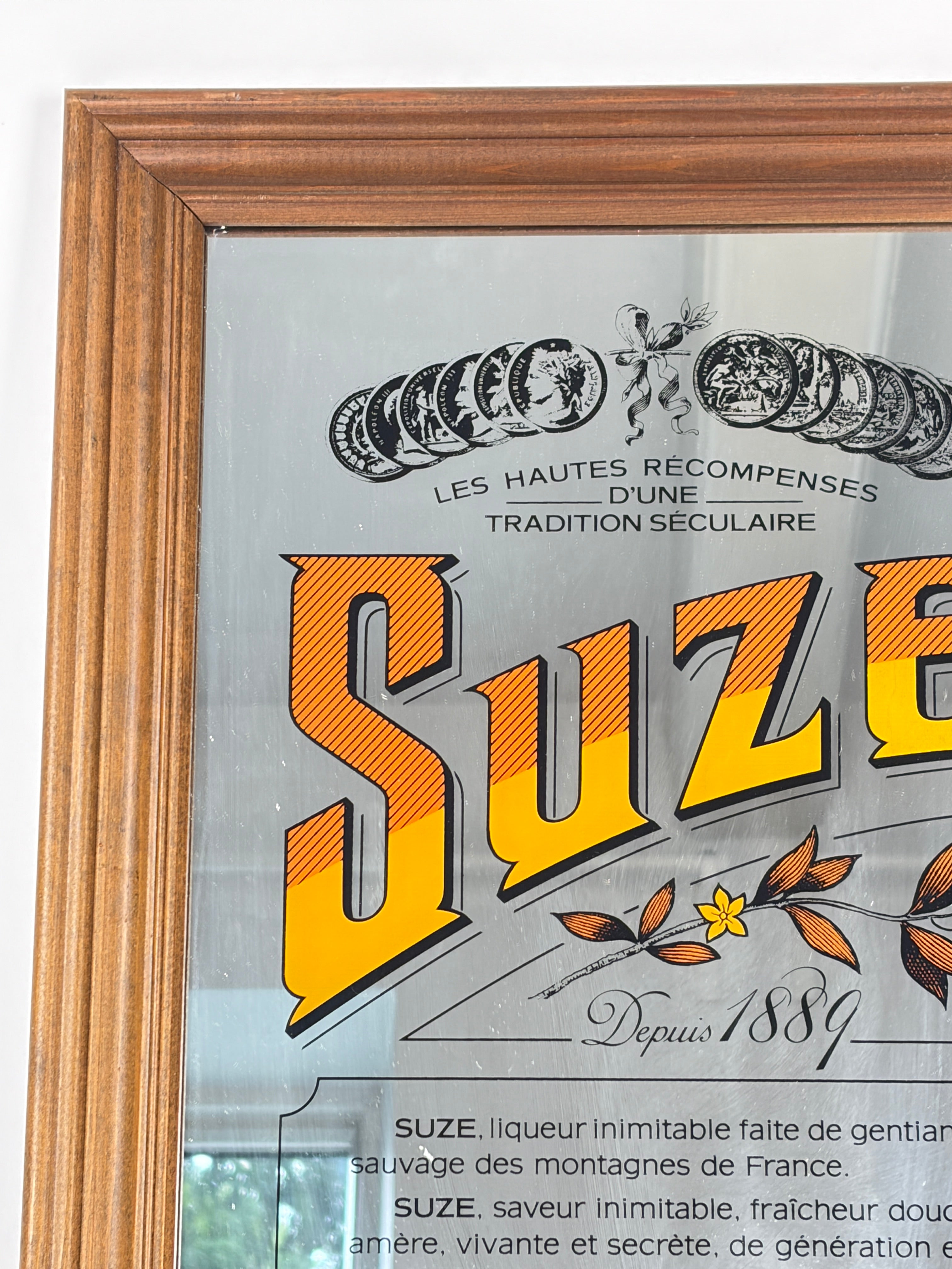 Suze-spejl, 47x35 cm