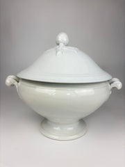 Terrin, 25 cm