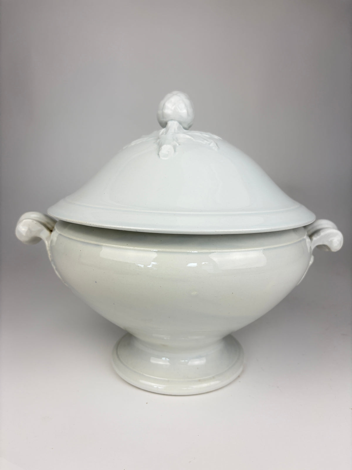 Terrin, 25 cm