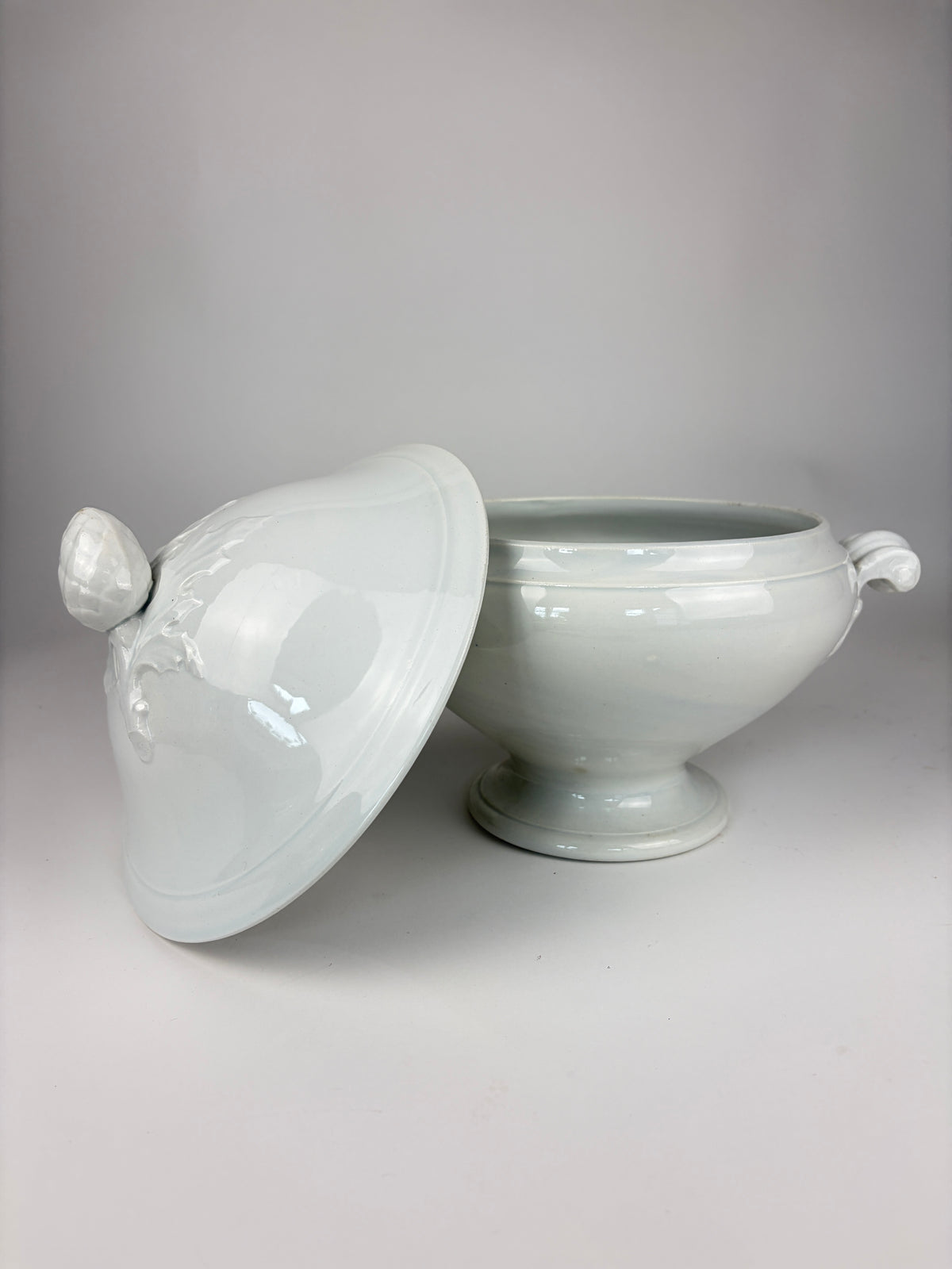 Terrin, 25 cm