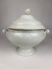 Terrin, 27 cm