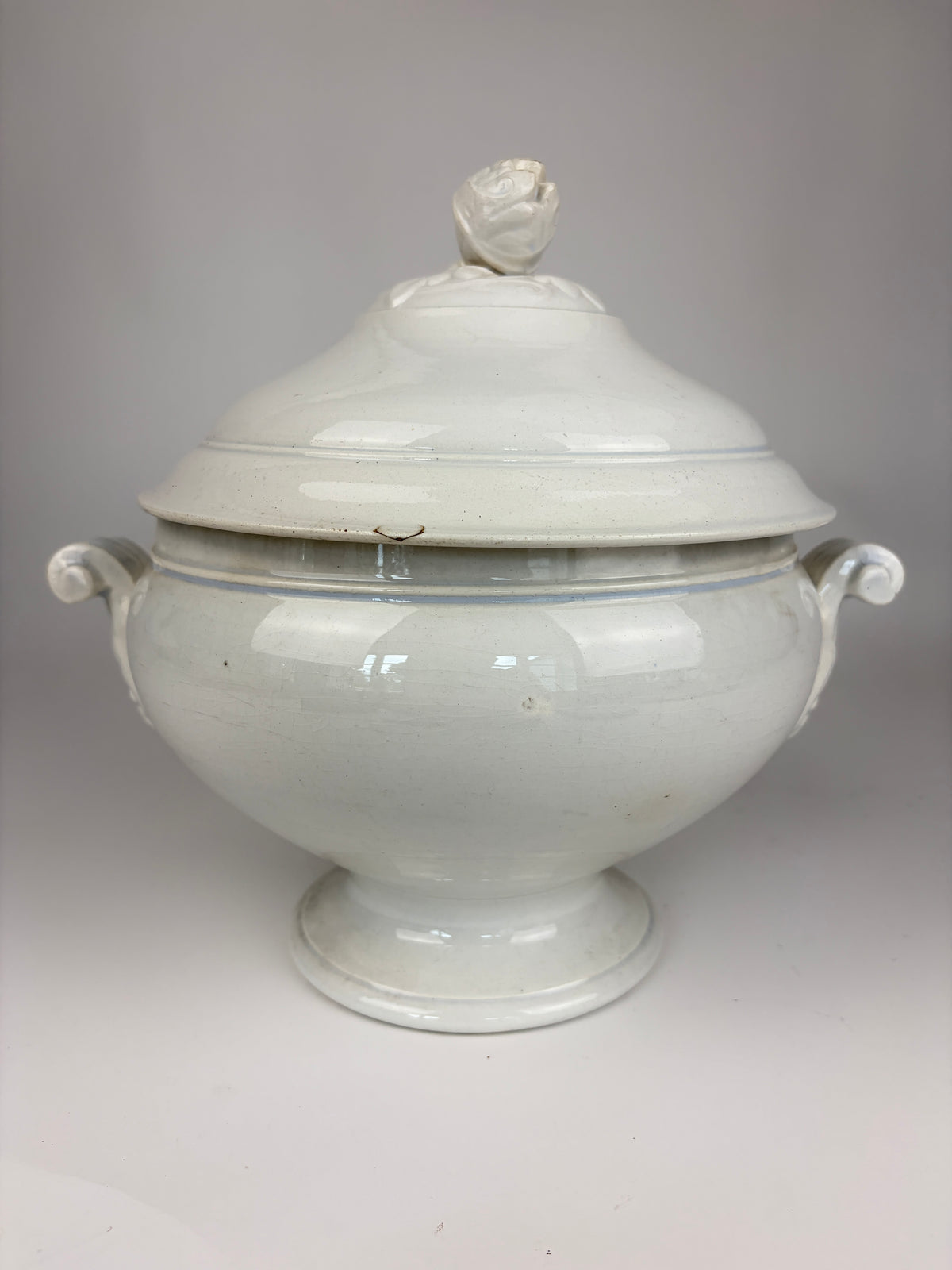 Terrin, 27 cm