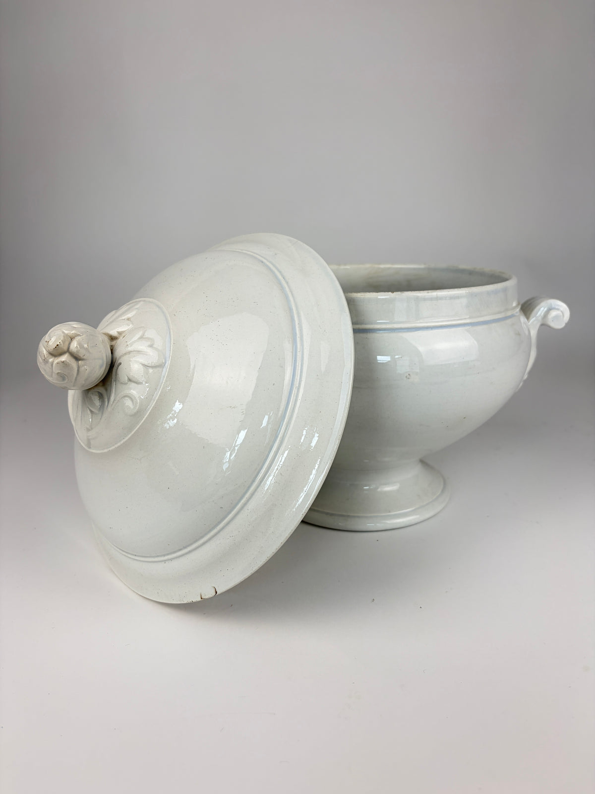 Terrin, 27 cm