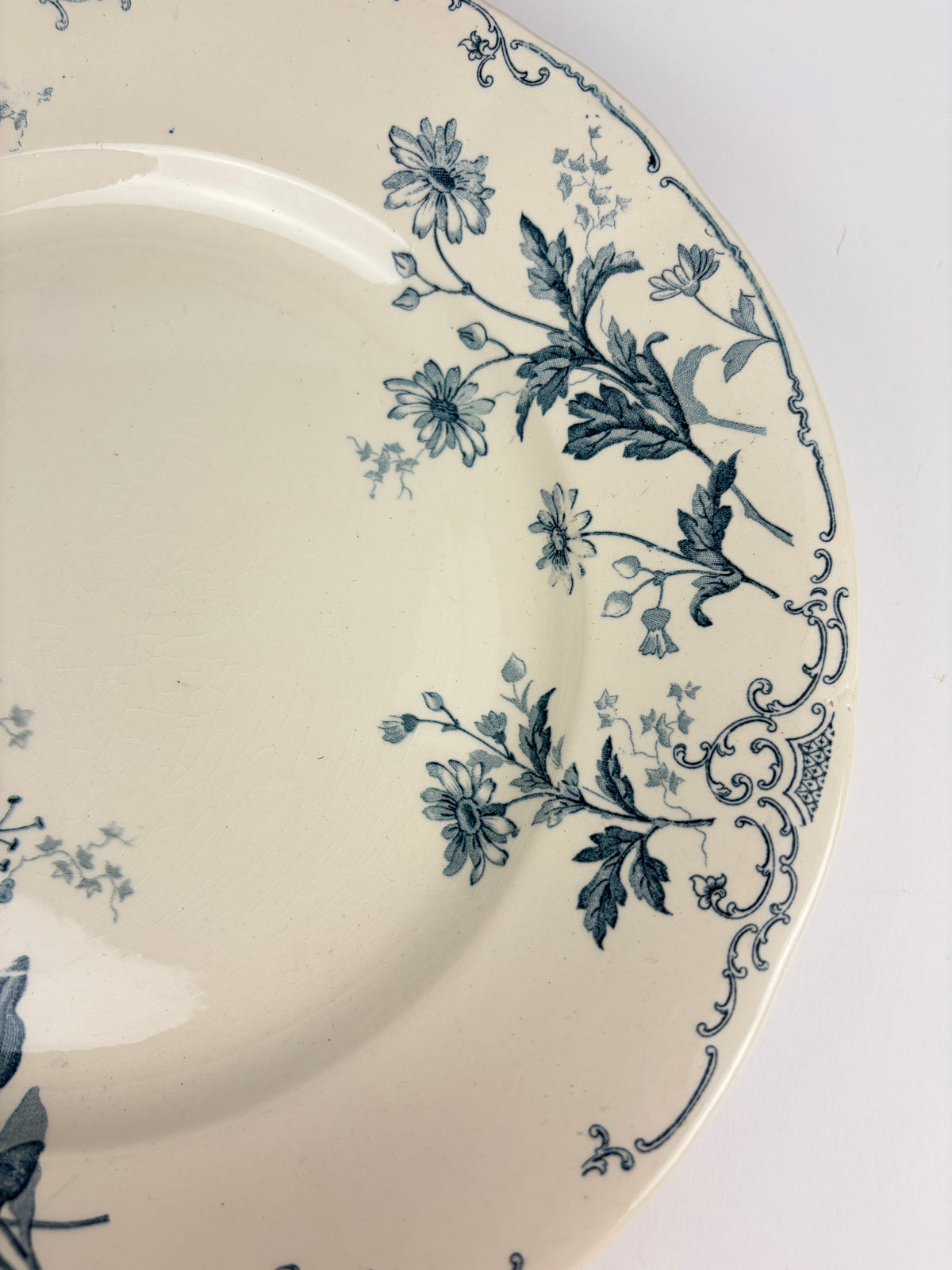 Franske tallerkener, Ø25,5 cm - 6 stk.