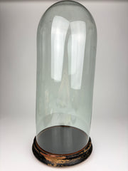 Glaskuppel, 56 cm