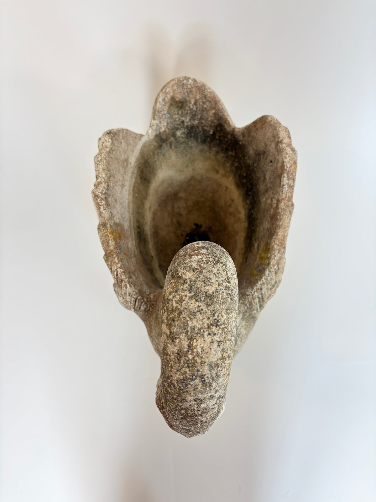 Svane, 52 cm