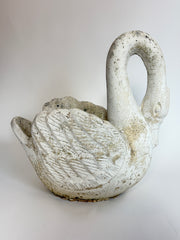 Svane, 52 cm