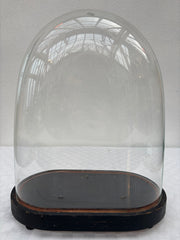 French glass dome