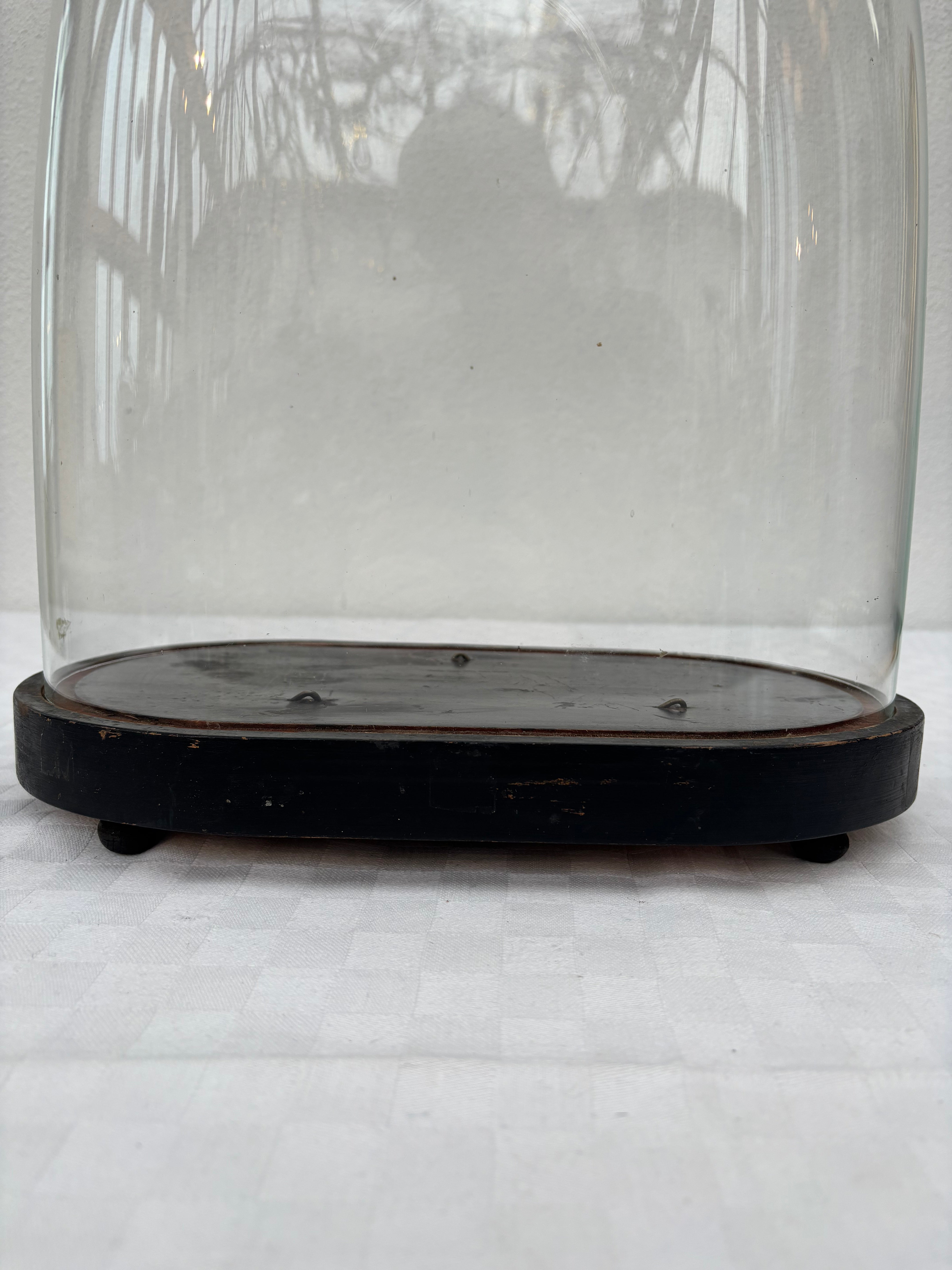 French glass dome